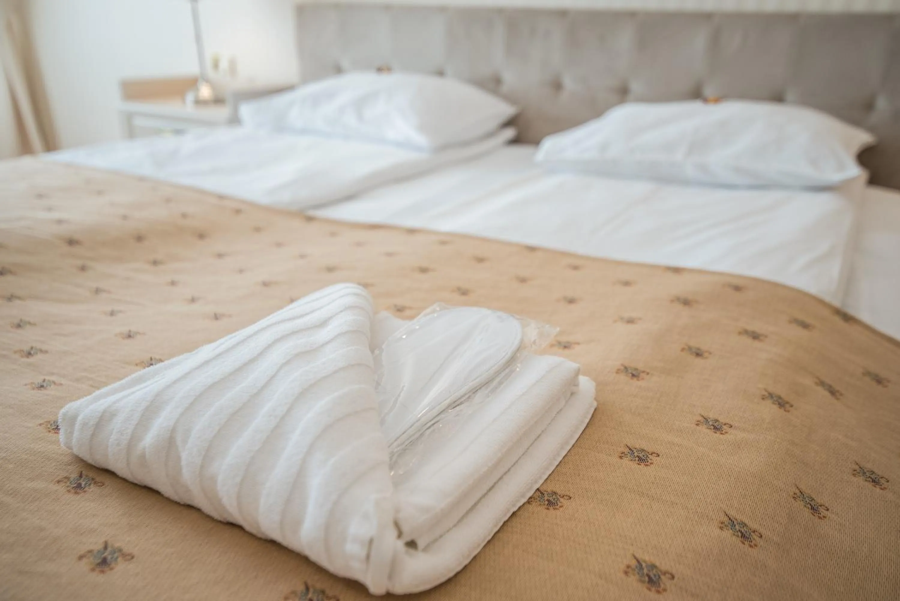 Bed in Pensiunea David