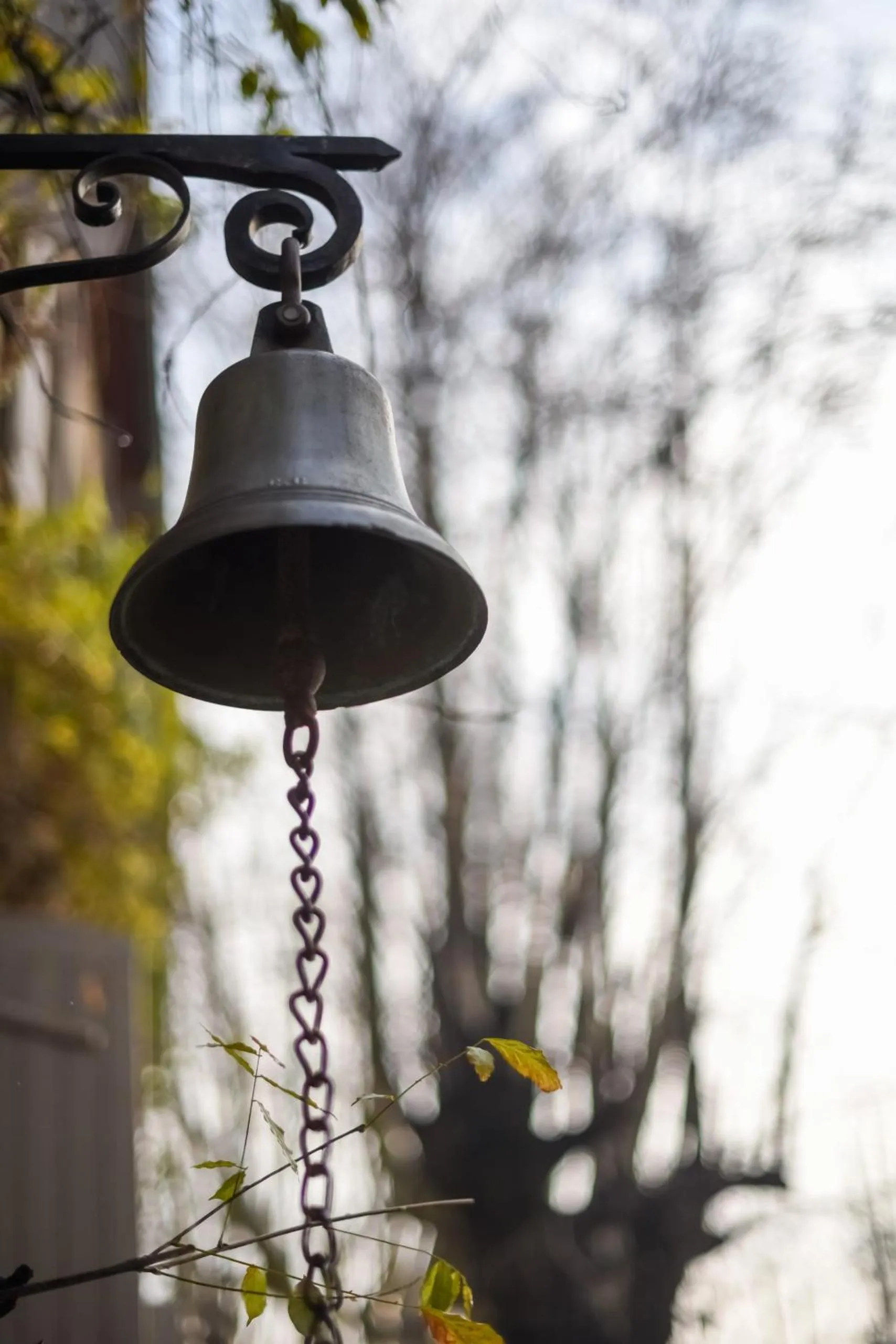 Property building in Auberge de la Treille - Chambres d'Hôtes