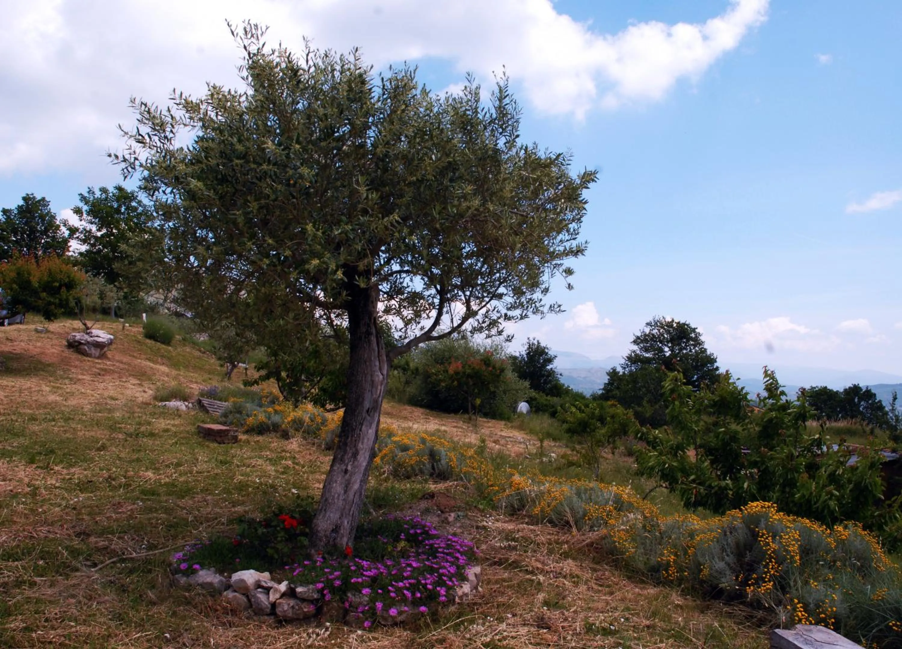 Property building in B&B La Montagna Rosa