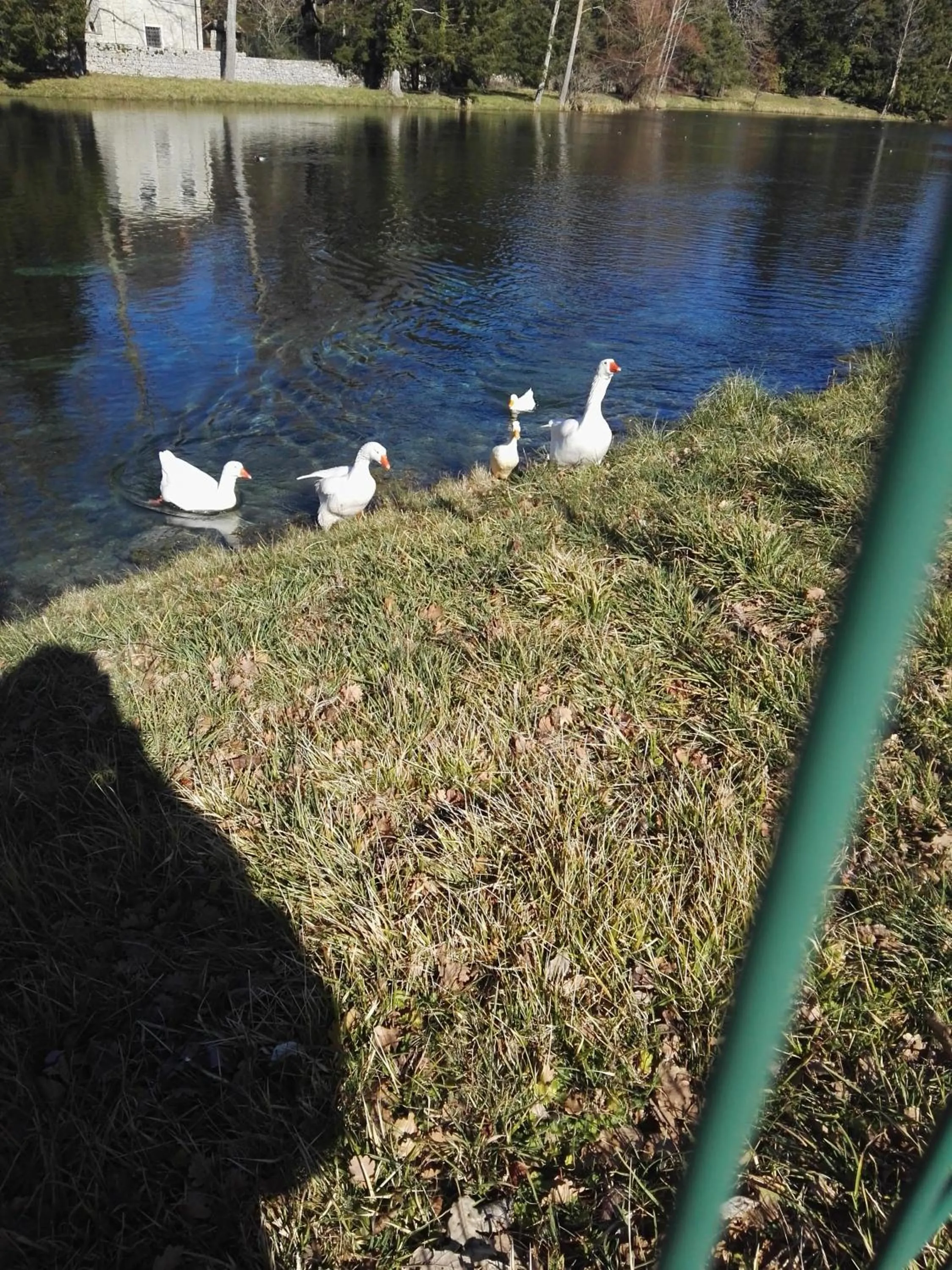 B&B La Montagna Rosa