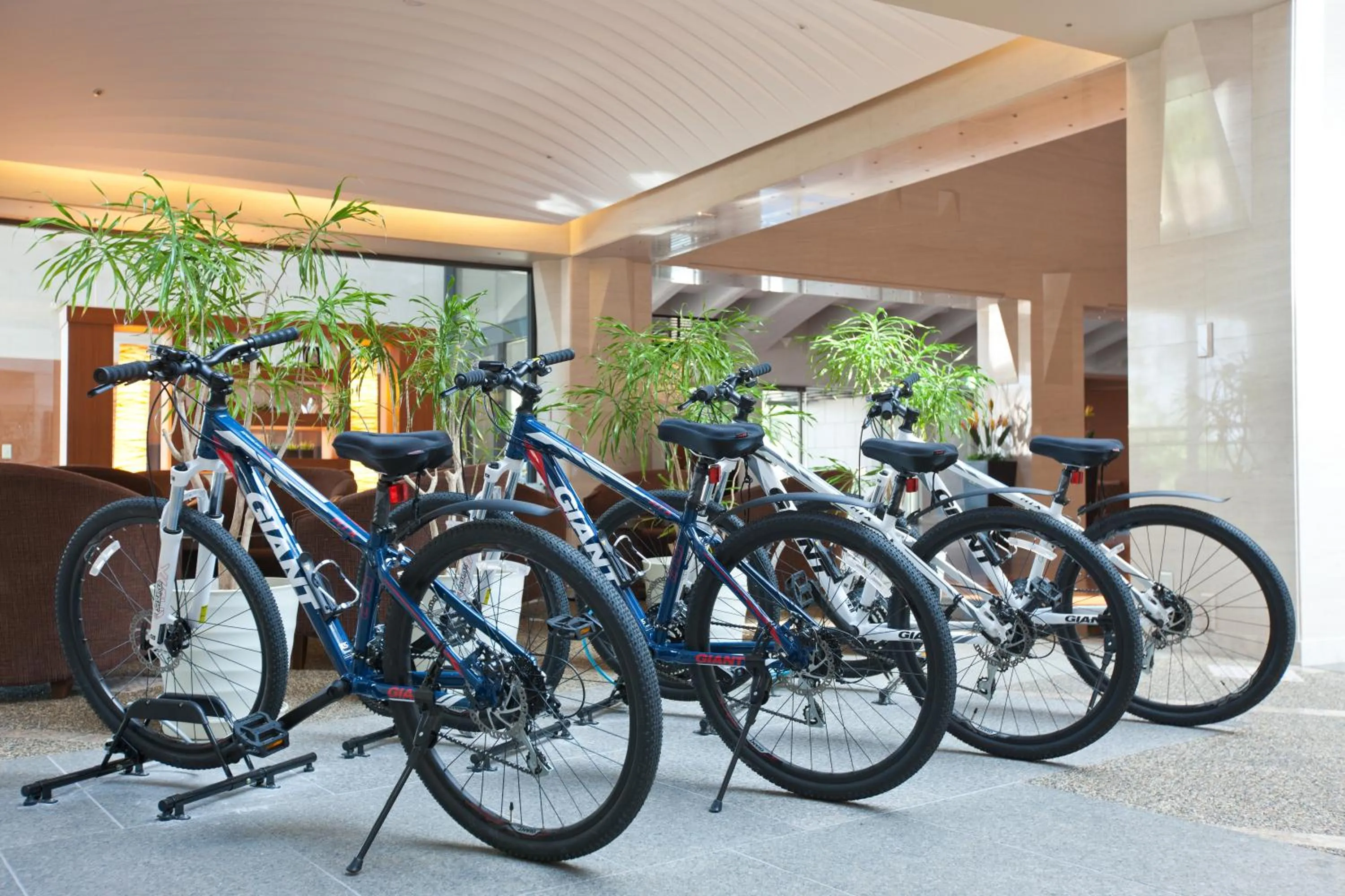 Cycling in Miyako Resort Okushima Aqua Forest