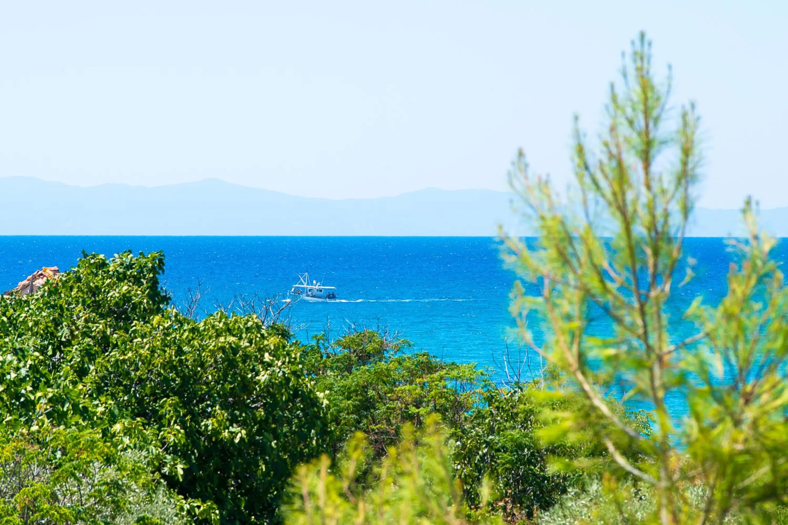 Property building in The Dome Luxury