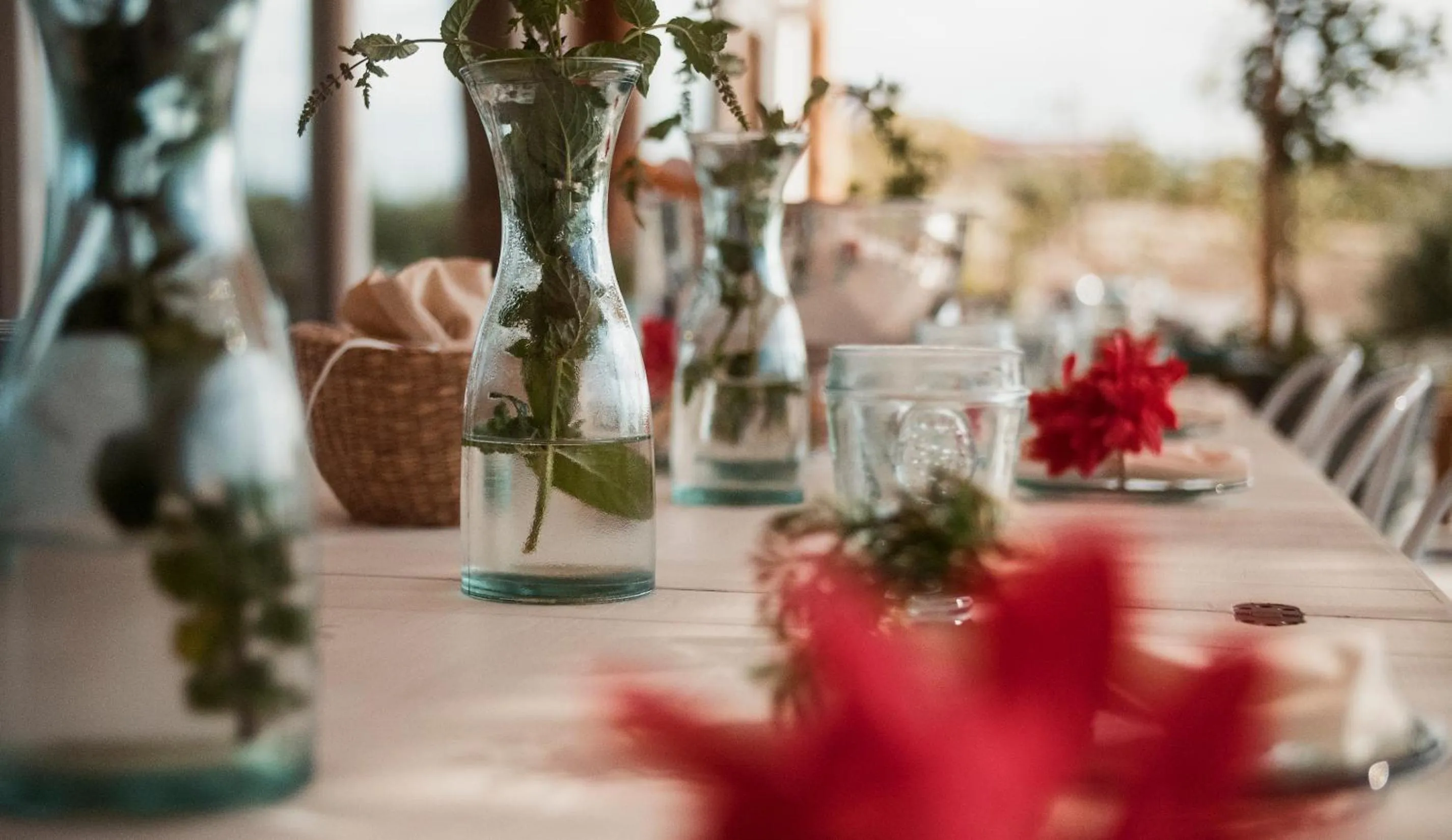 Drinks in Aelia Wellness Retreat