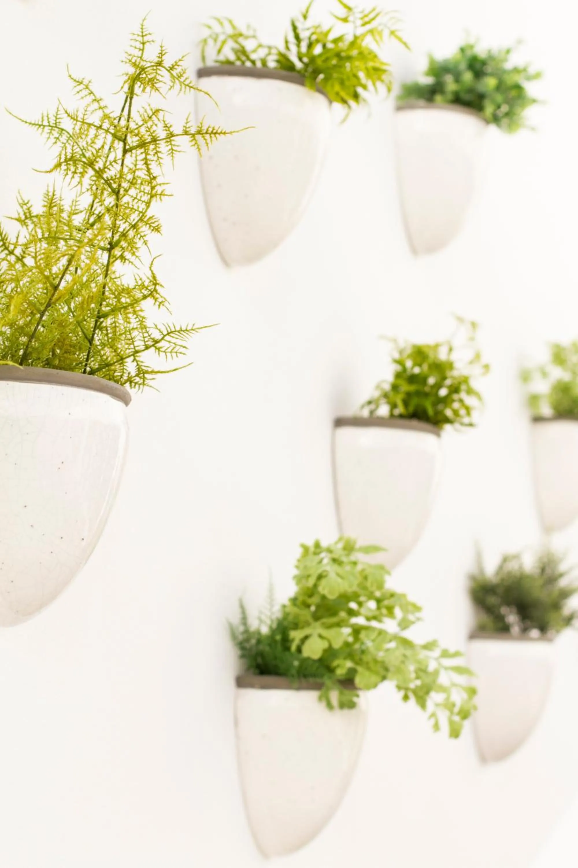 Decorative detail in Aelia Wellness Retreat