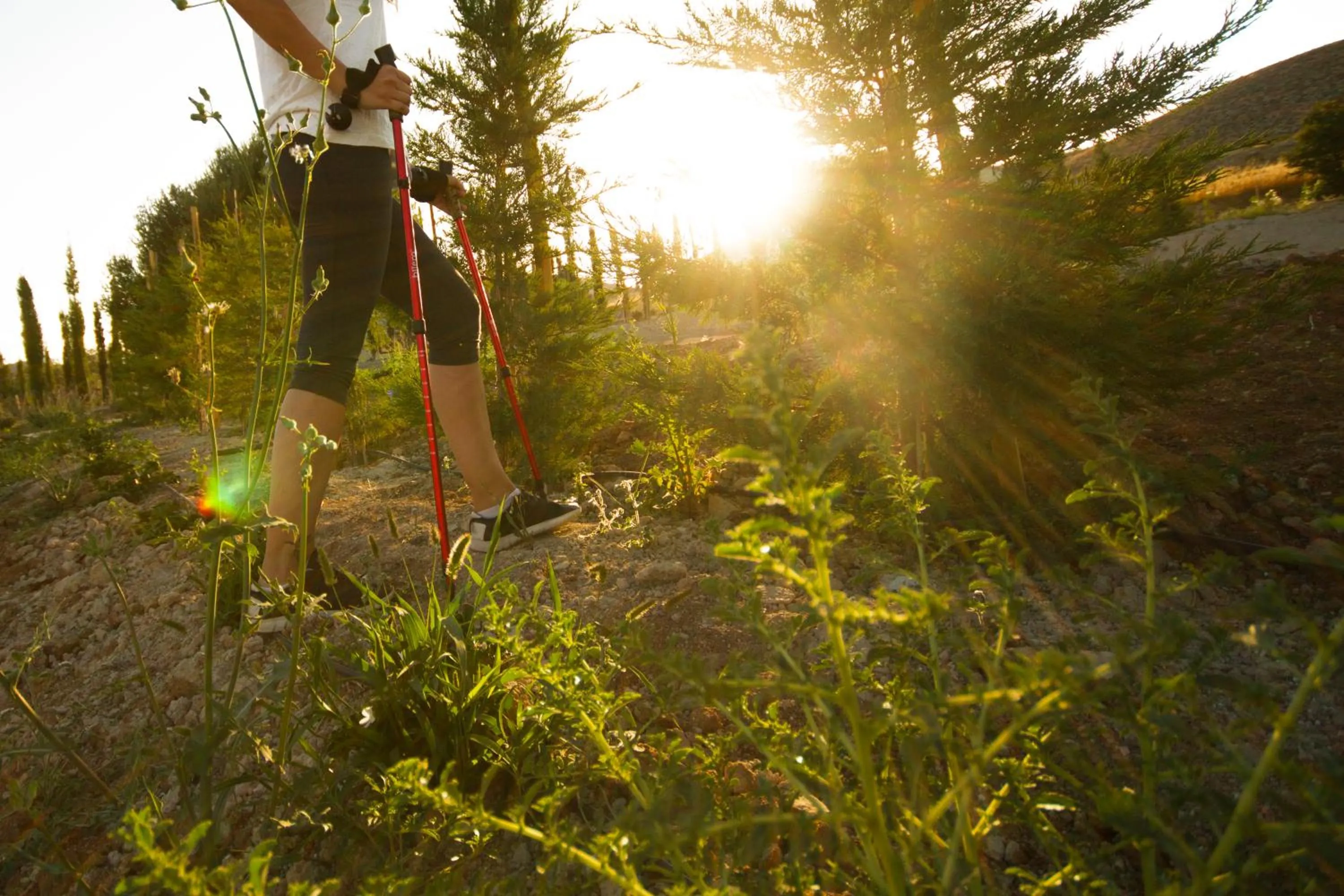 Activities in Aelia Wellness Retreat