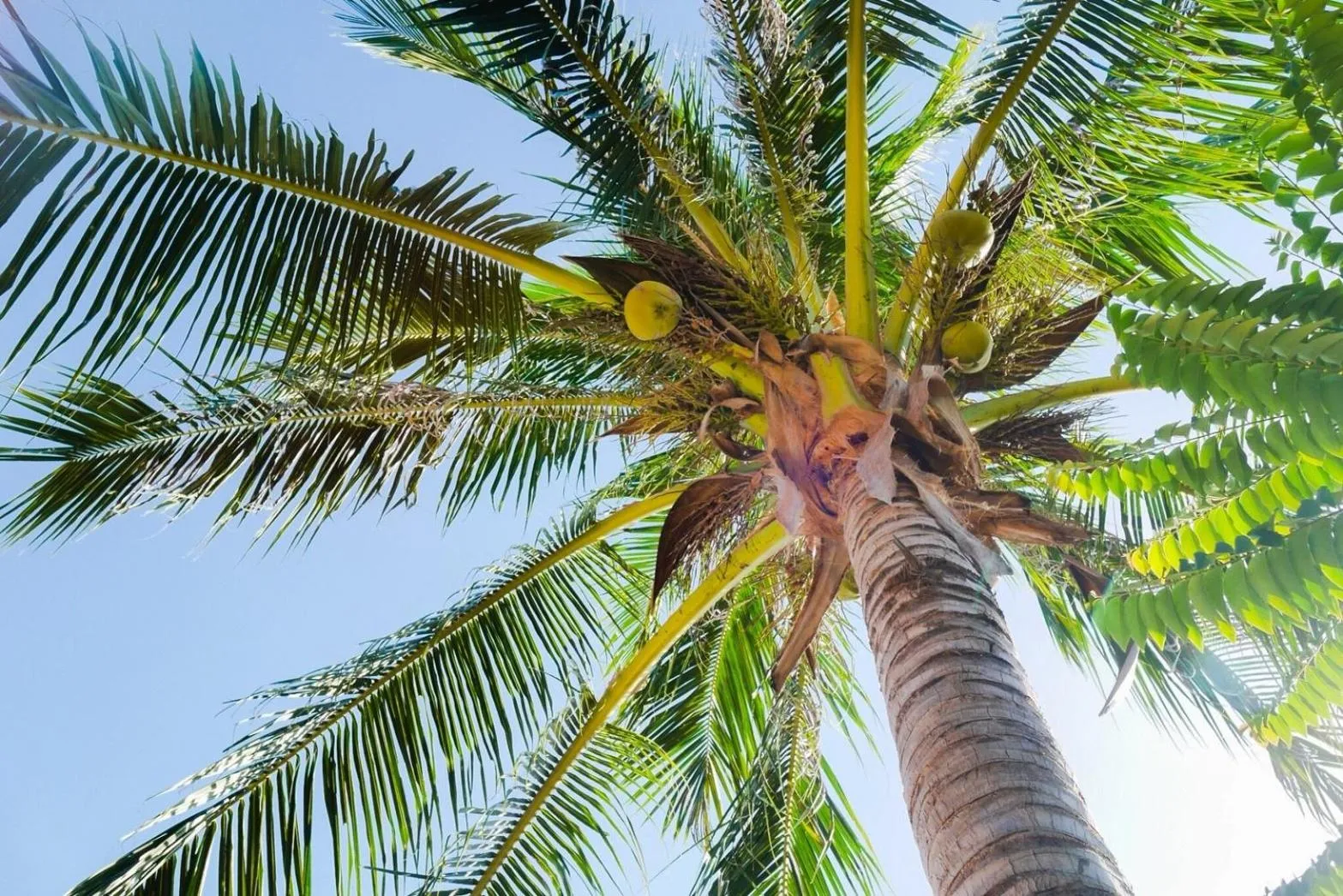 Other in Zama Resort Koh Phangan