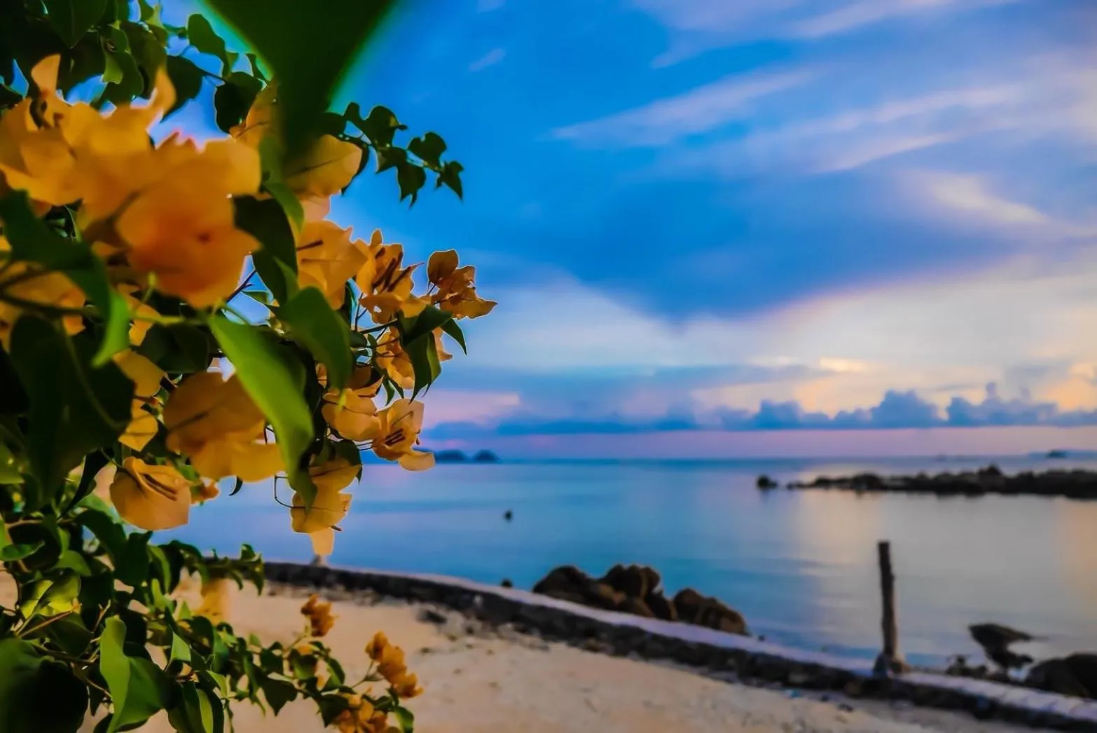 Sea view in Zama Resort Koh Phangan