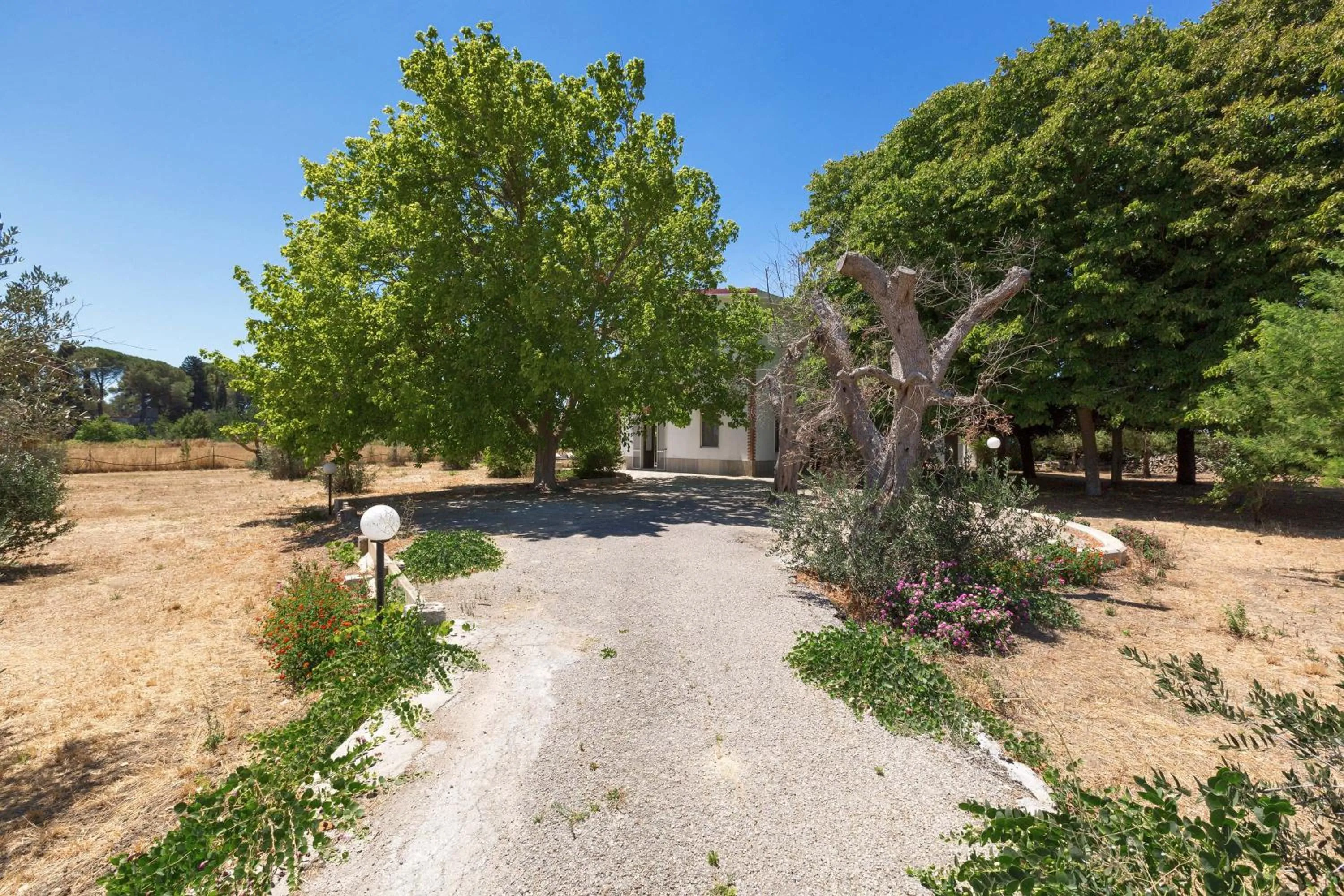 Garden in Villa dei Primi by BarbarHouse
