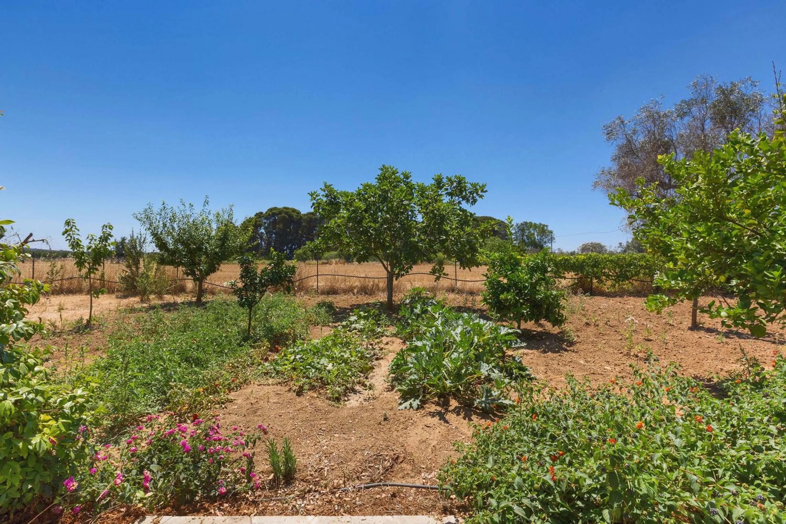 Garden in Villa dei Primi by BarbarHouse