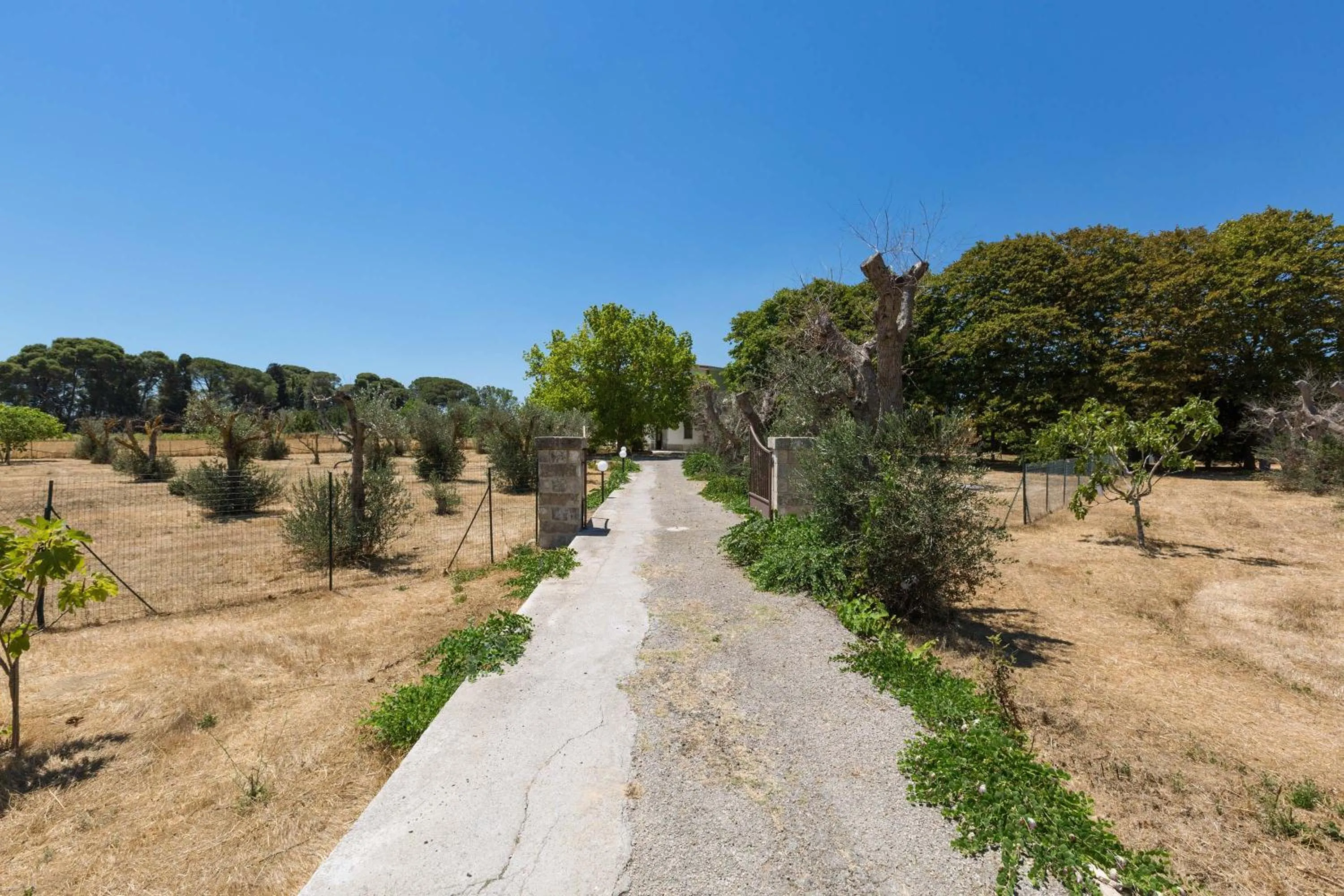 Street view in Villa dei Primi by BarbarHouse