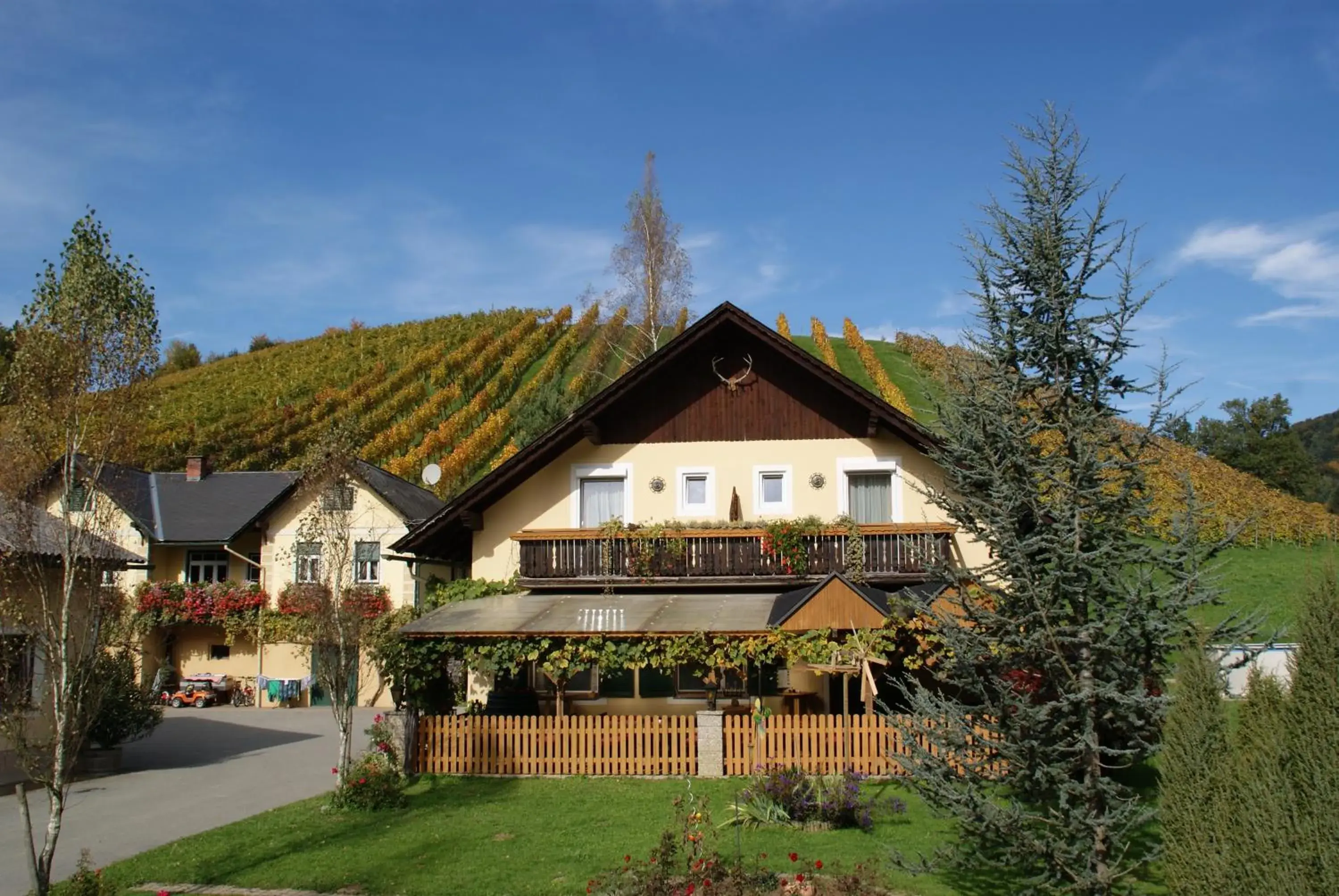 Weingut Lieschnegg Weingut Lieschnegg