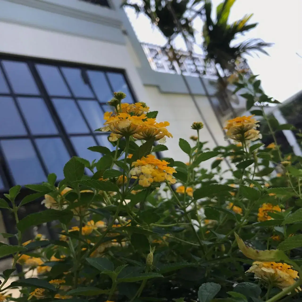 Property building in Rumah Kertajaya Property building in Rumah Kertajaya