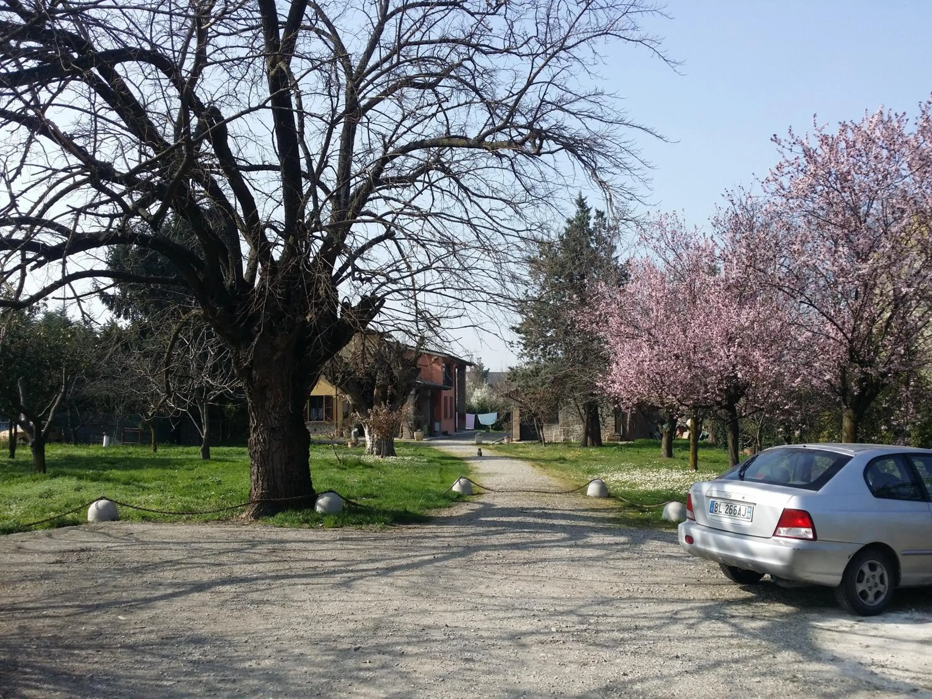 Garden view in R&B Albero Cavo Parma