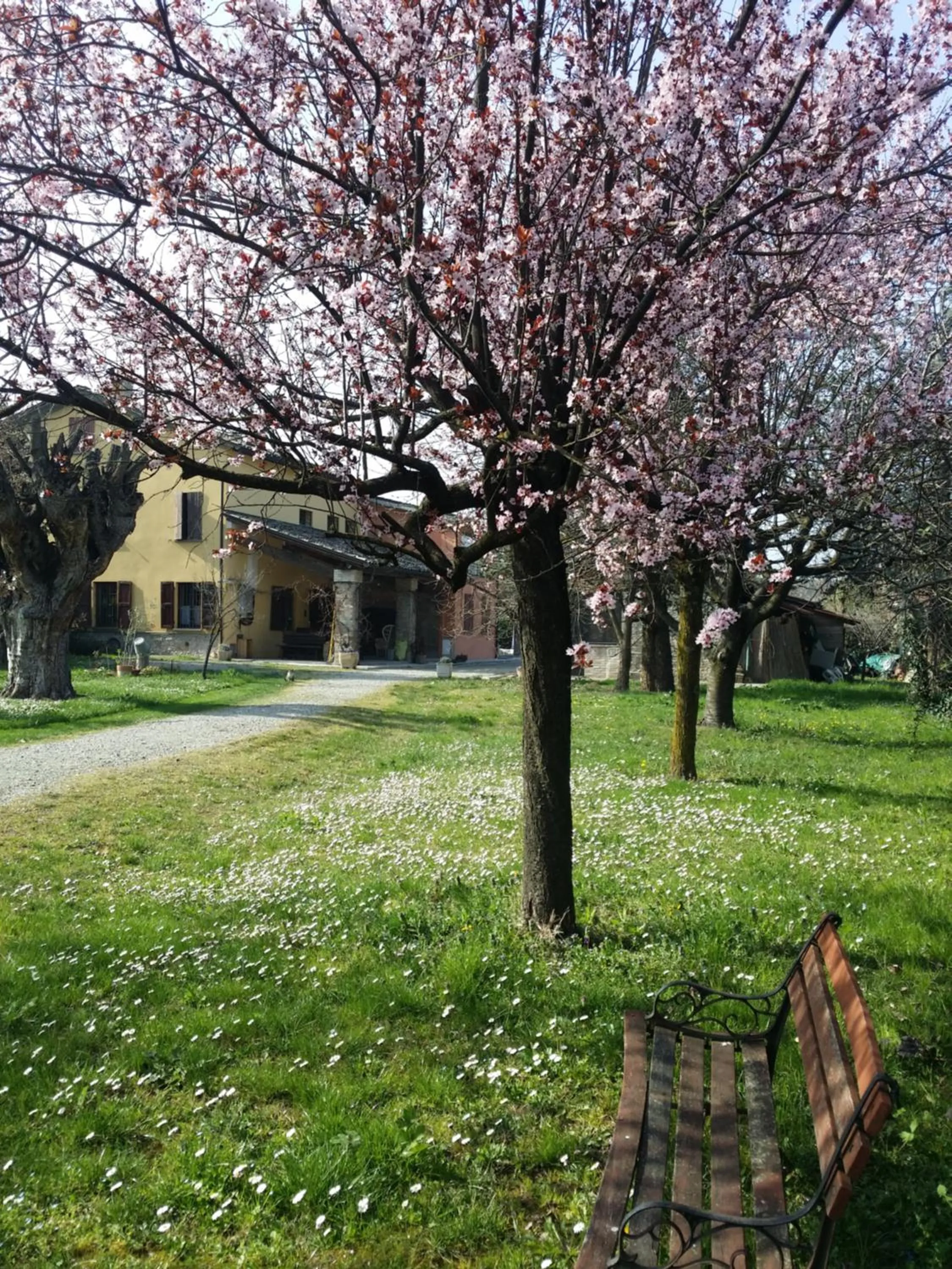 Garden view in R&B Albero Cavo Parma