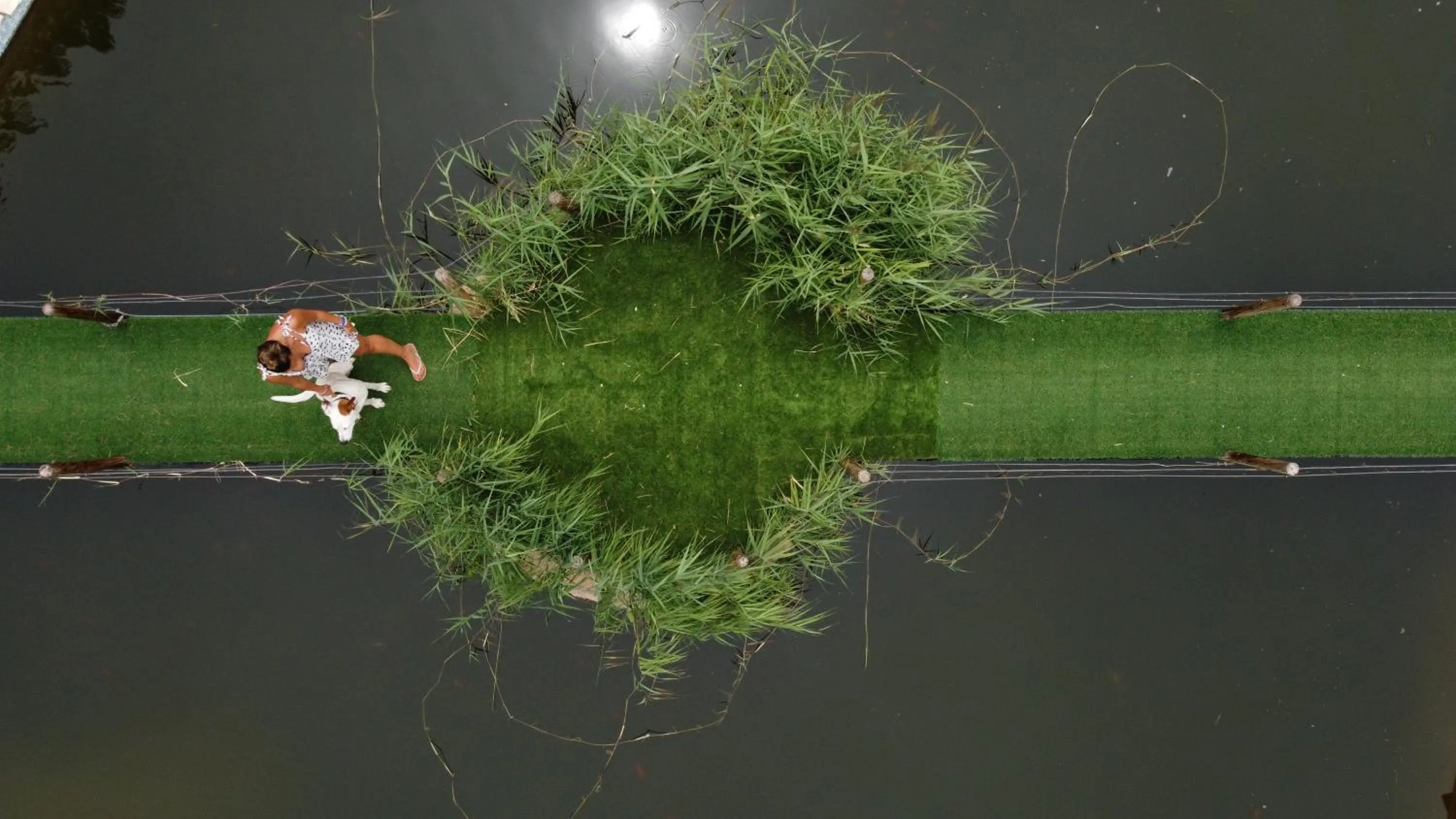Garden in Hotel El Cisne