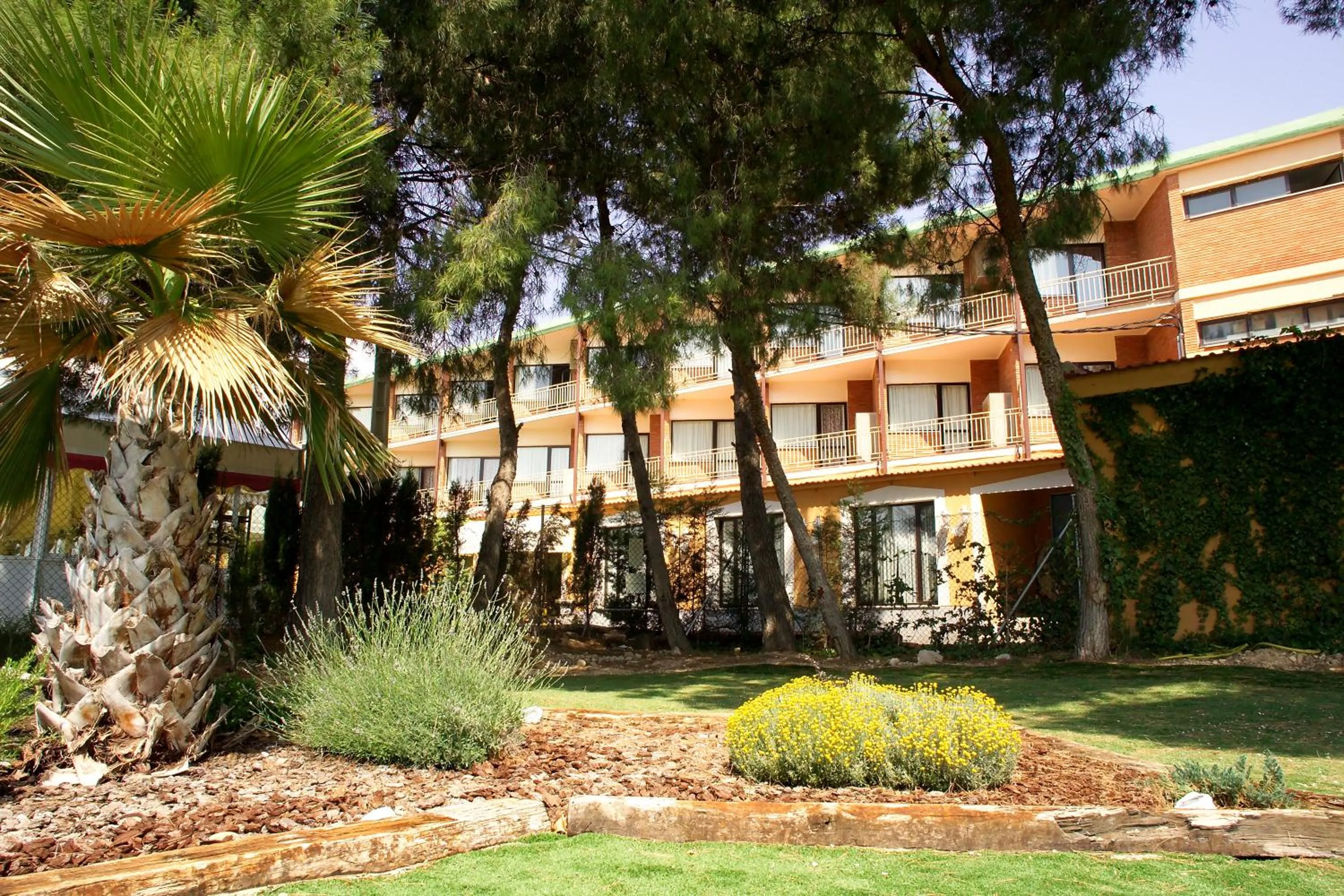 Garden in Hotel El Cisne