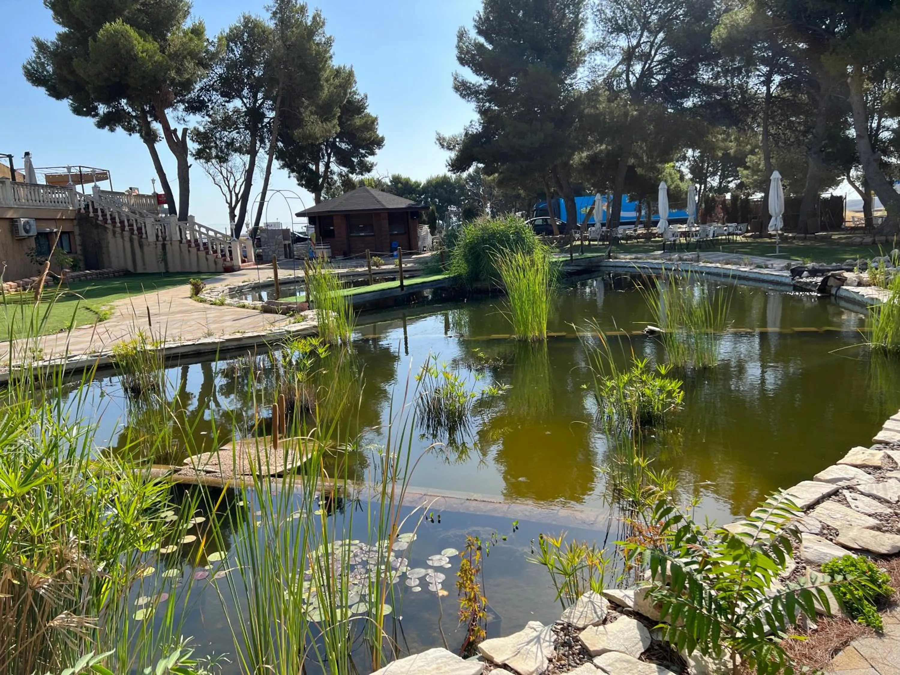 Garden in Hotel El Cisne