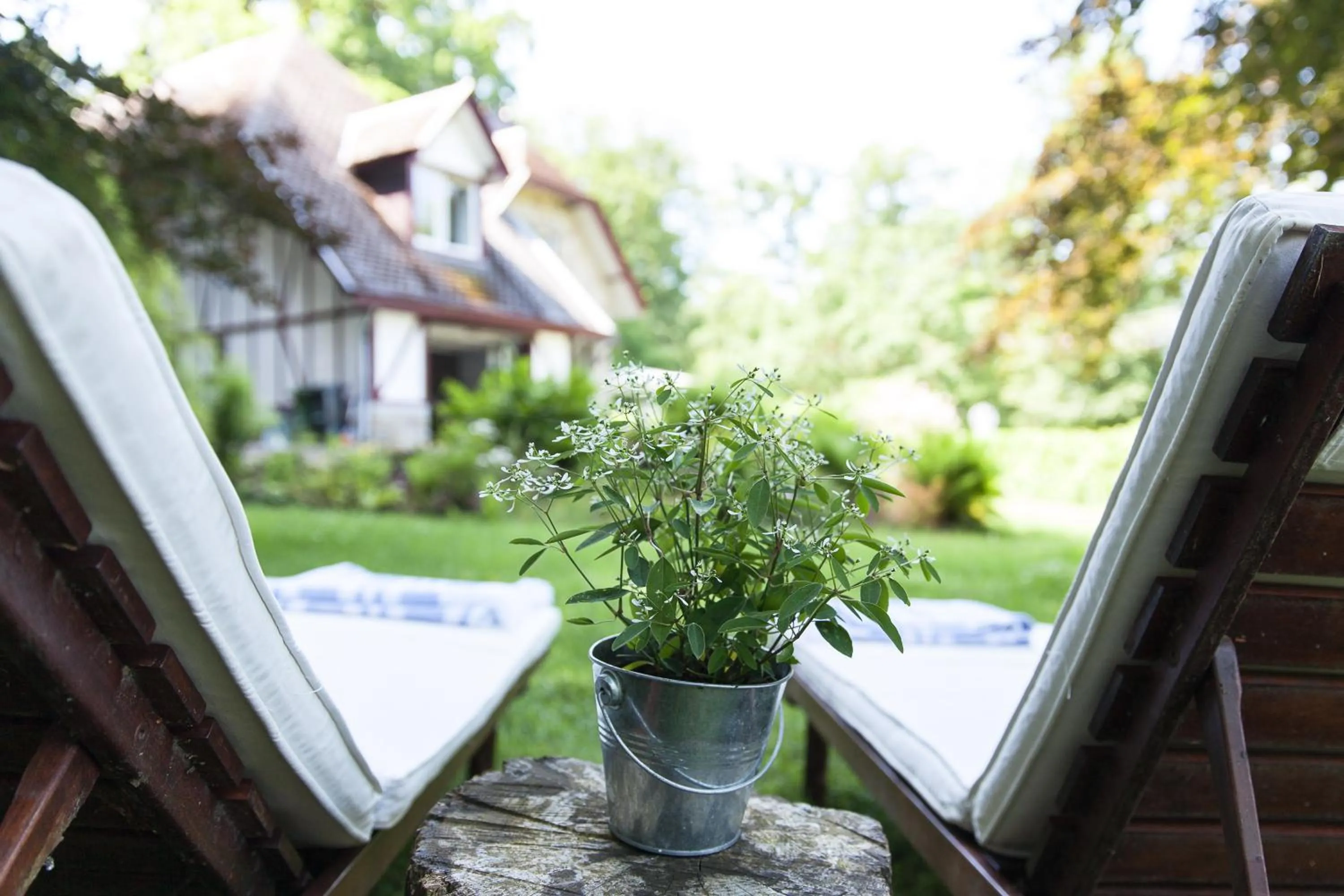 Property building in B&B Le Bois Dormant
