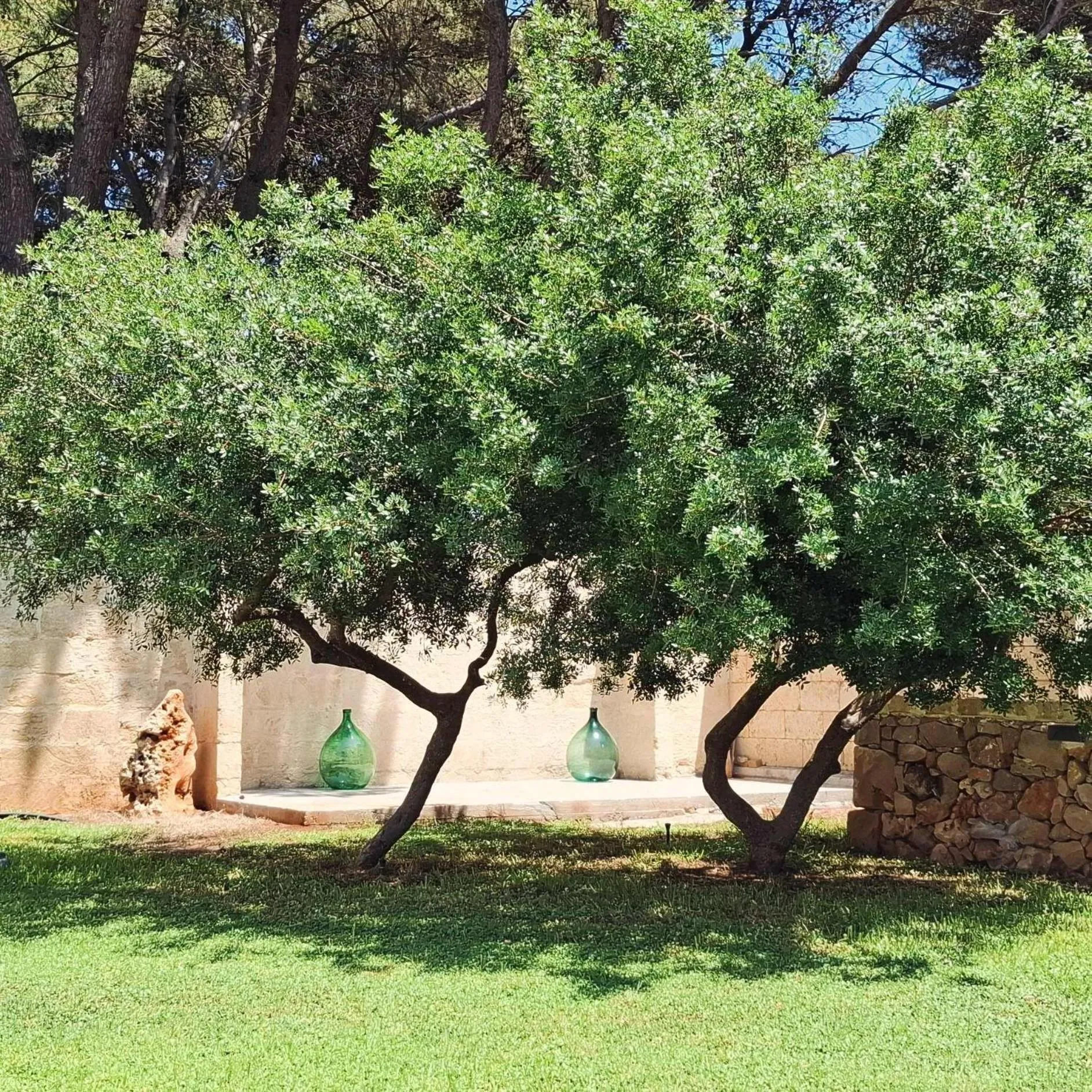 Garden in B&B Solepineta
