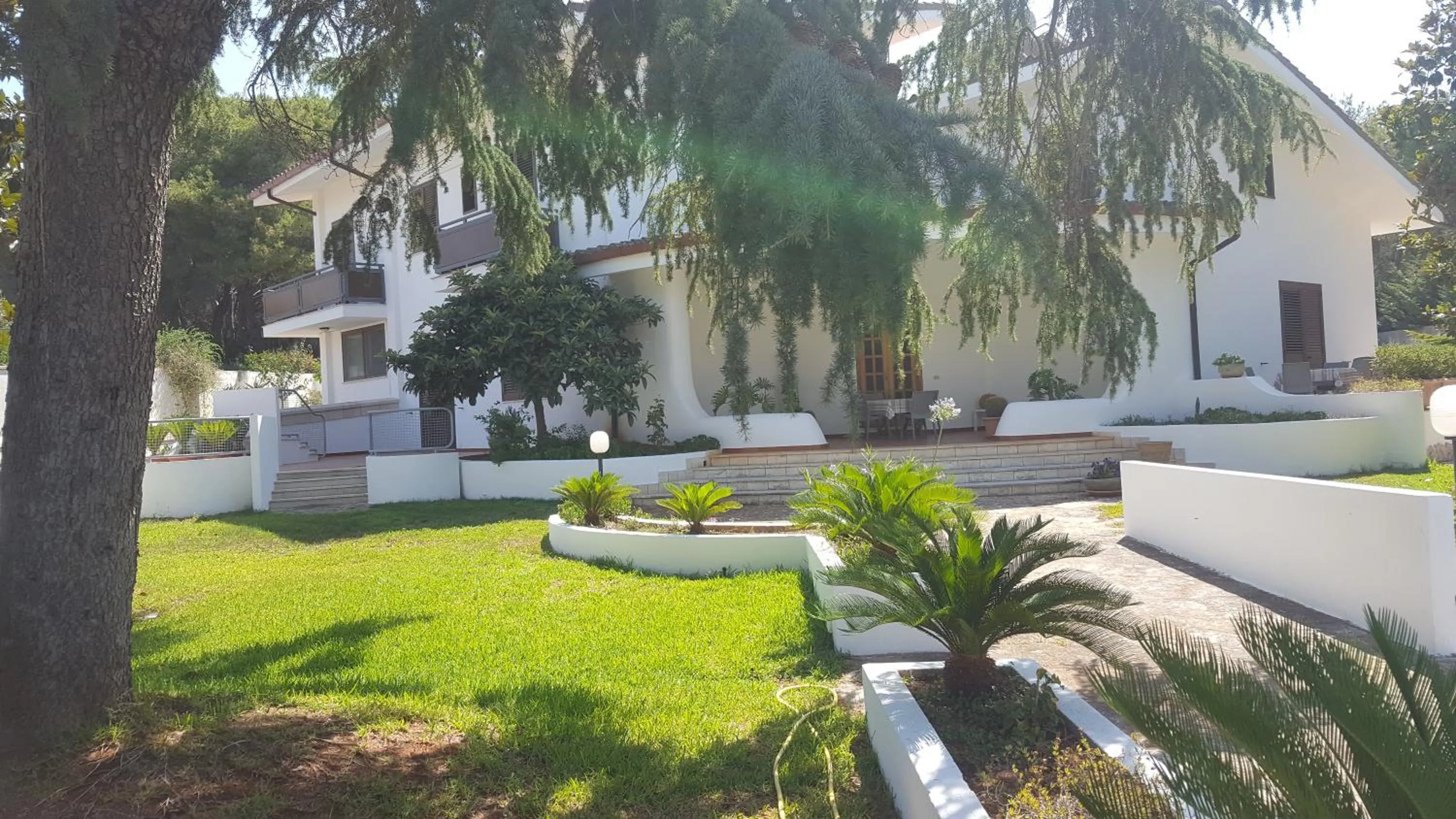 Property building in B&B Solepineta