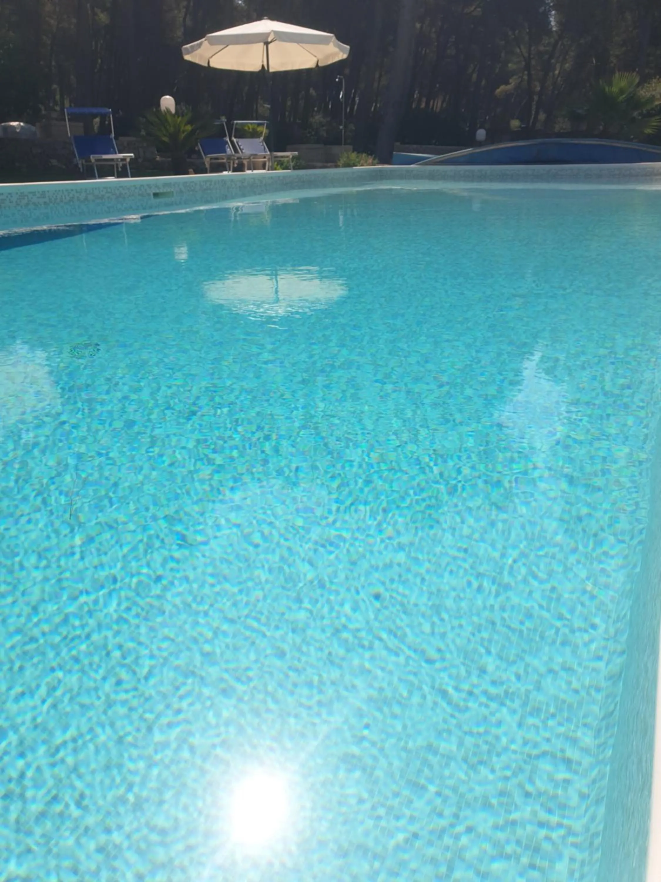 Swimming pool in B&B Solepineta