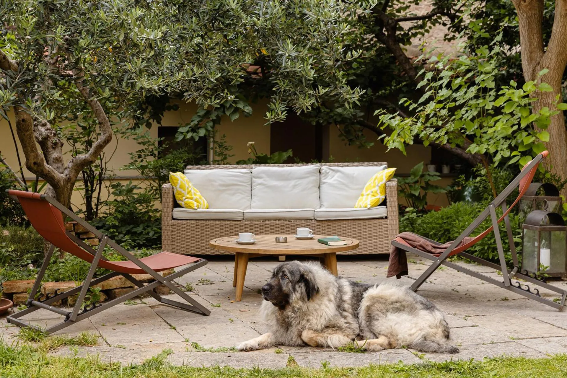 Garden in Hostel Archi Rossi