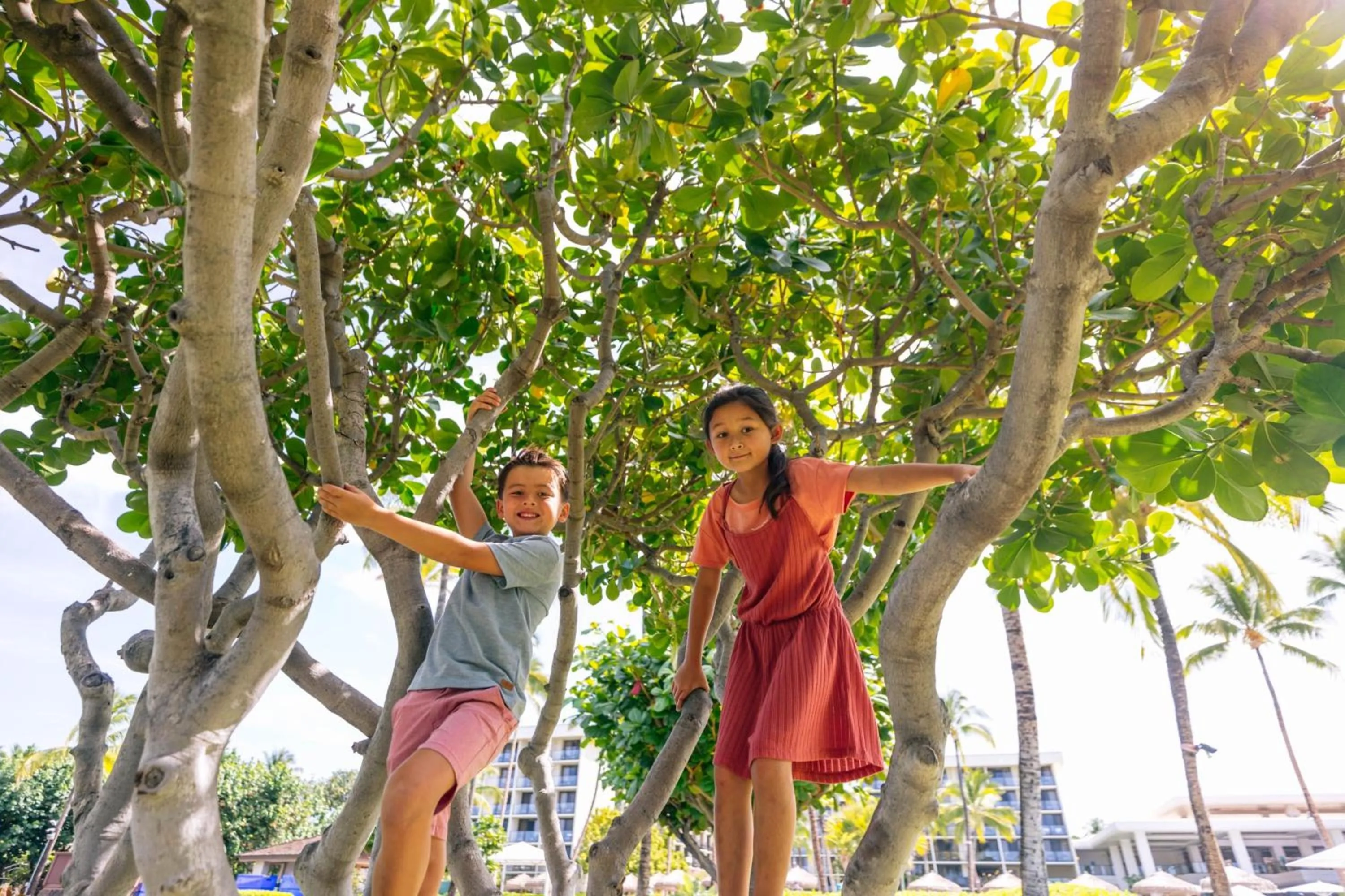 Other in Waikoloa Beach Marriott Resort & Spa