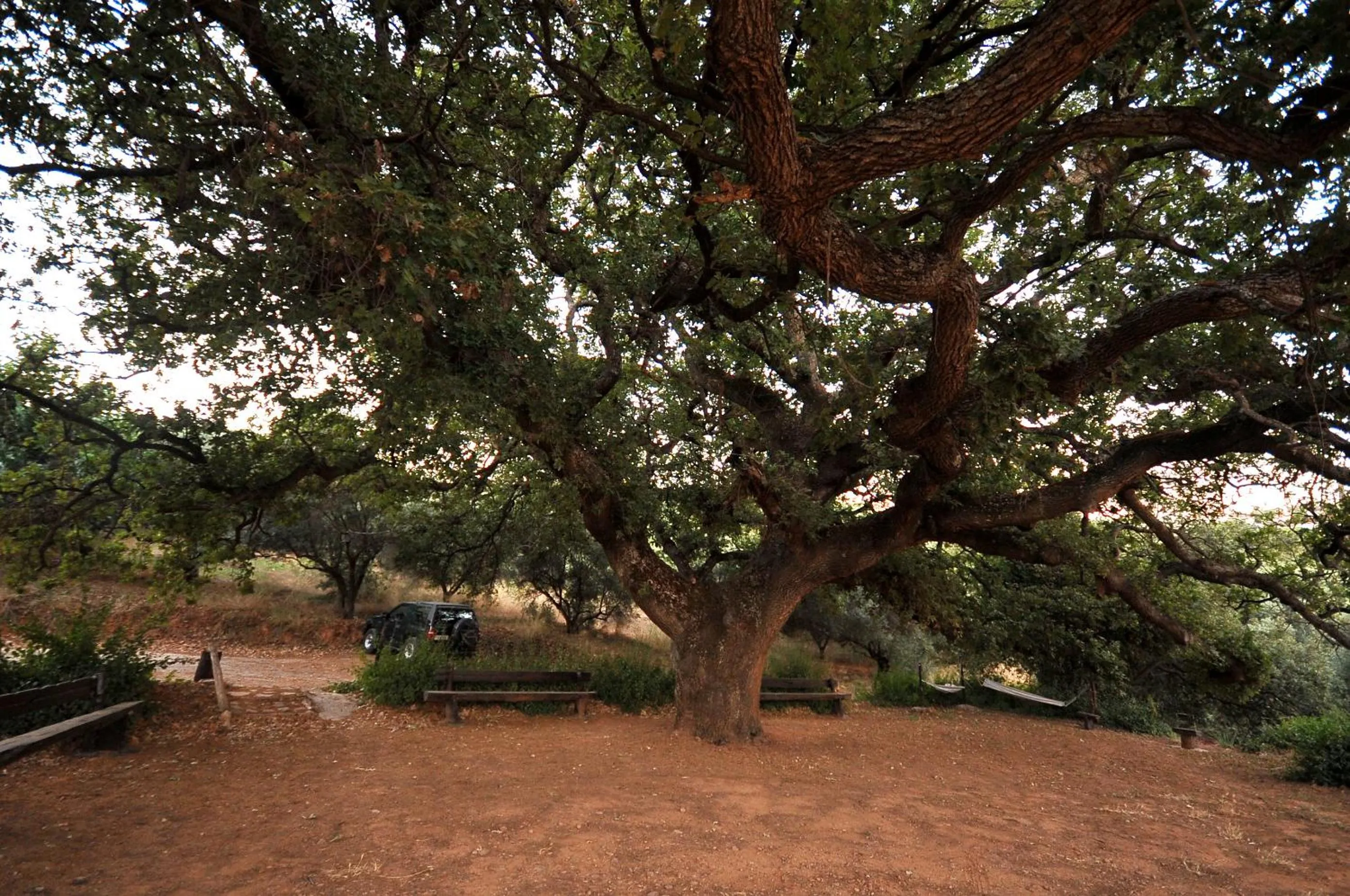 Garden in Elia Hotel & Spa