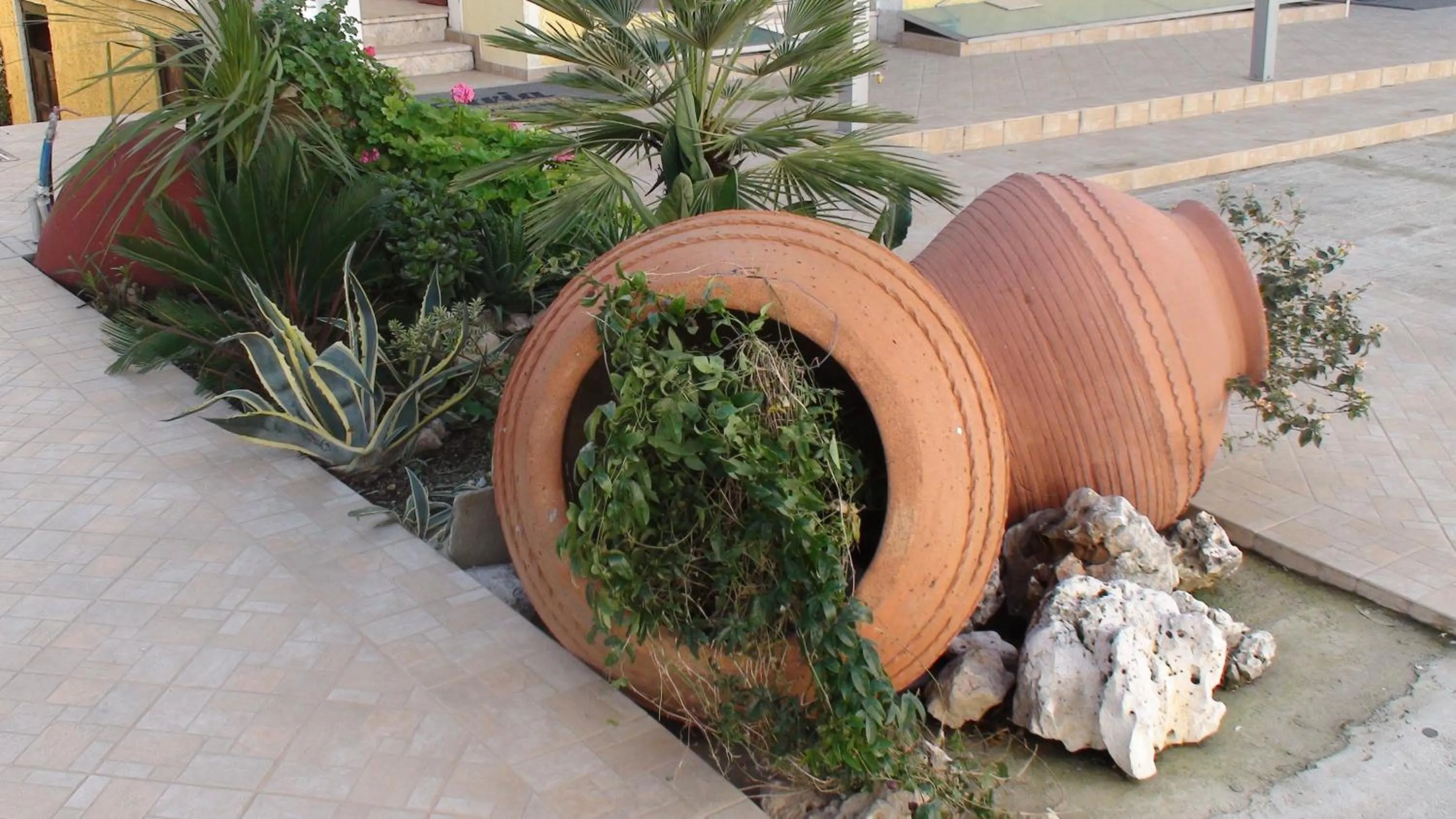 Other in Aria Hotel Samos Town