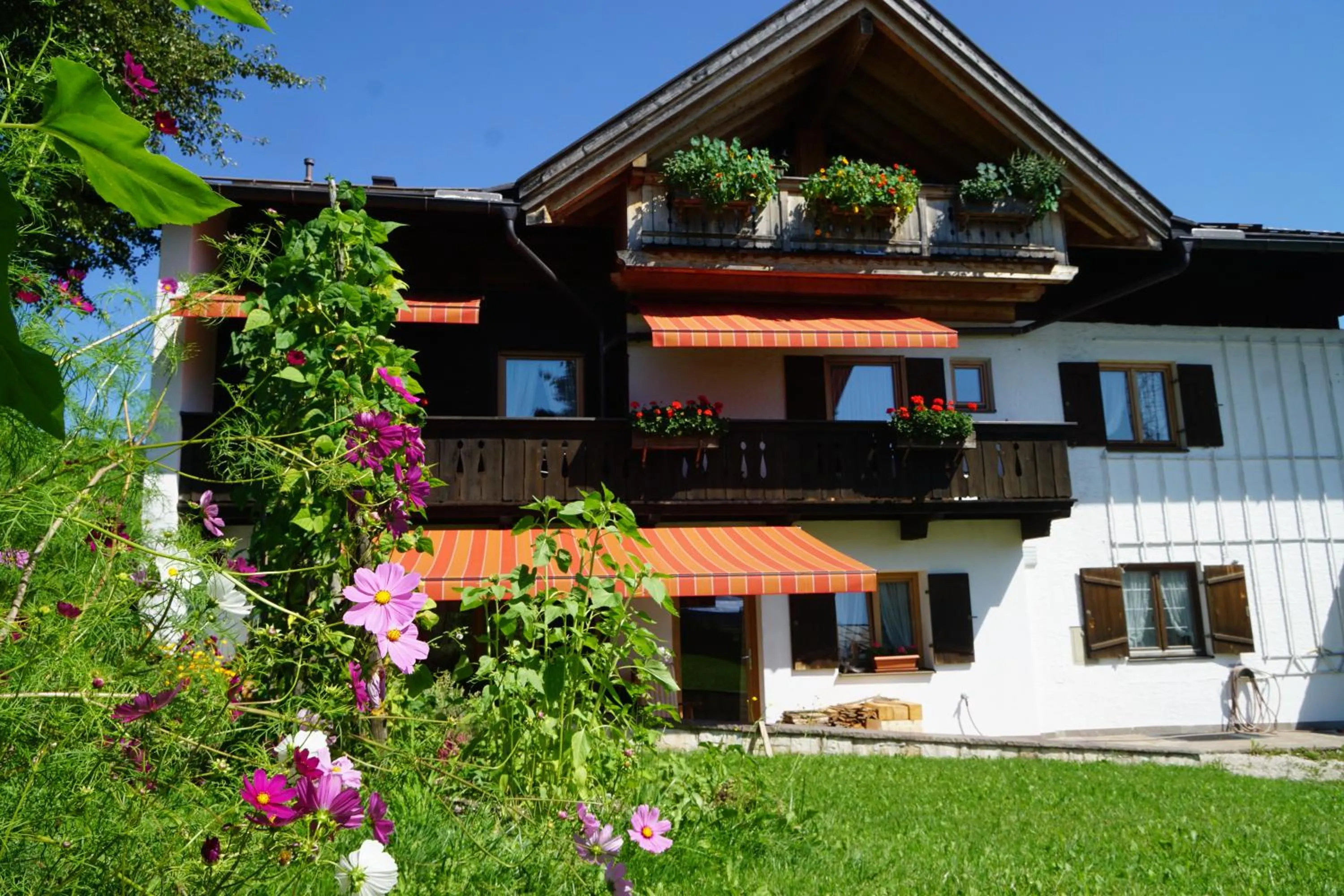 Property building in Haus Zauner