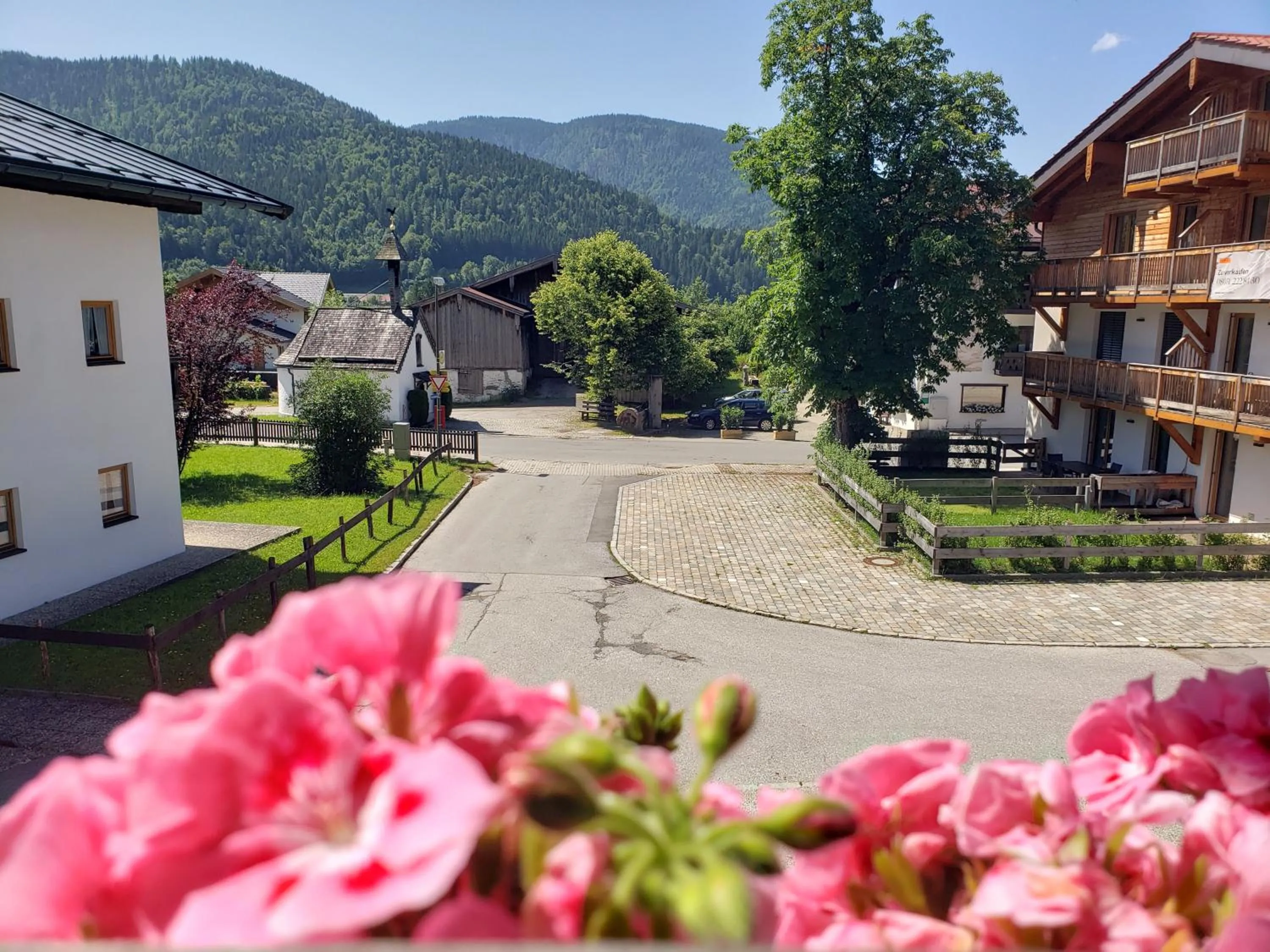 View (from property/room) in Haus Zauner