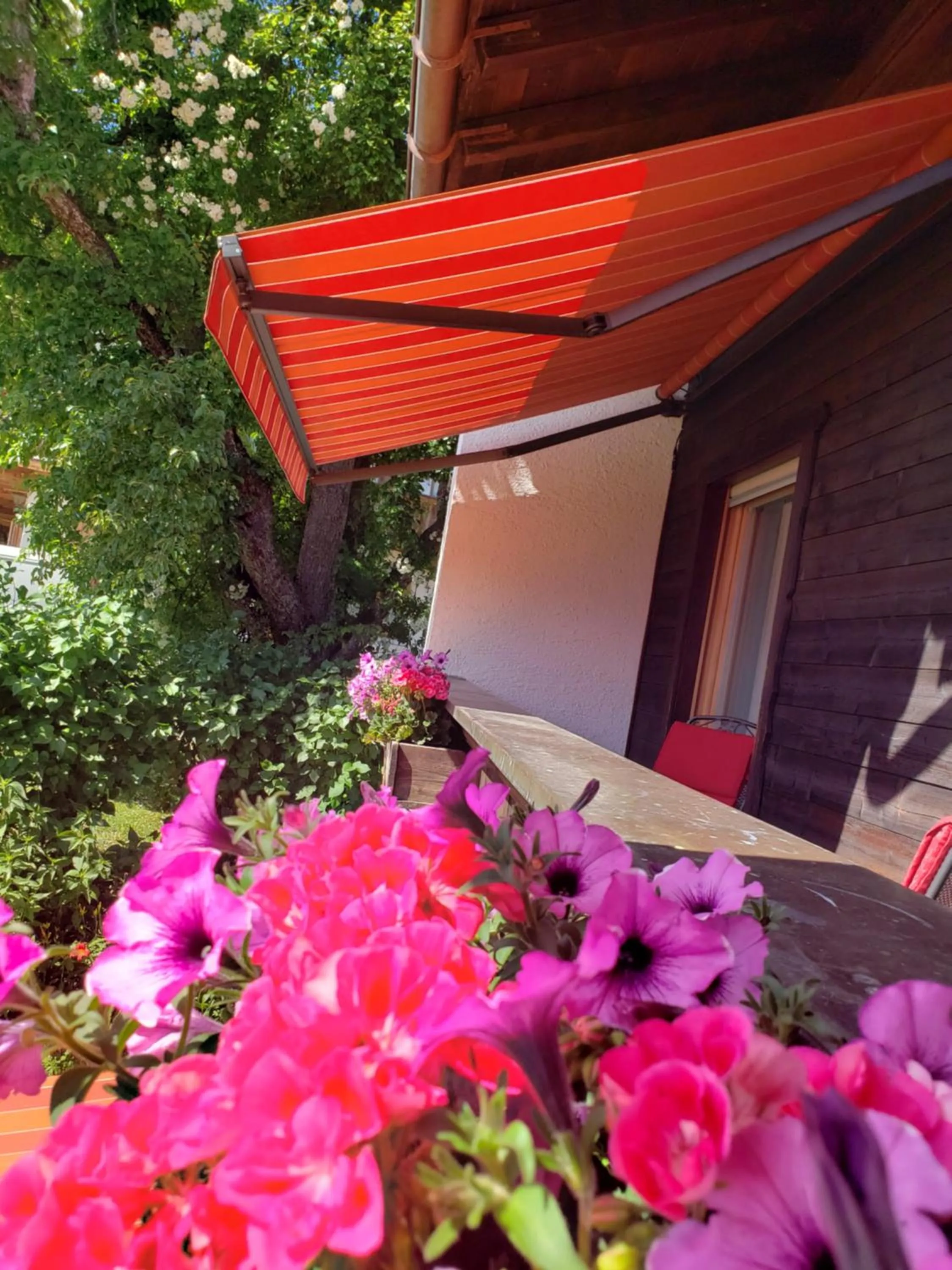 Balcony/Terrace in Haus Zauner