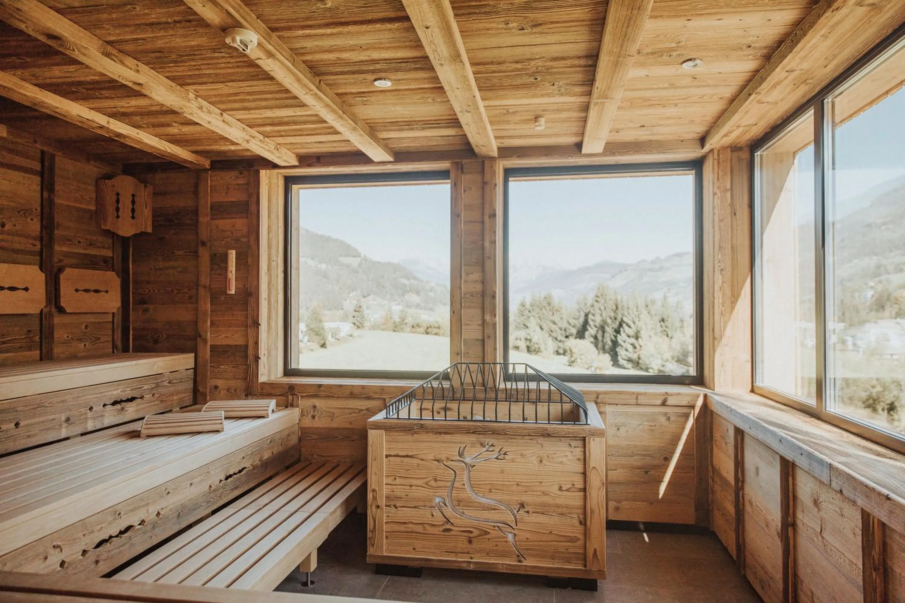 Sauna in Appartements Wieshof