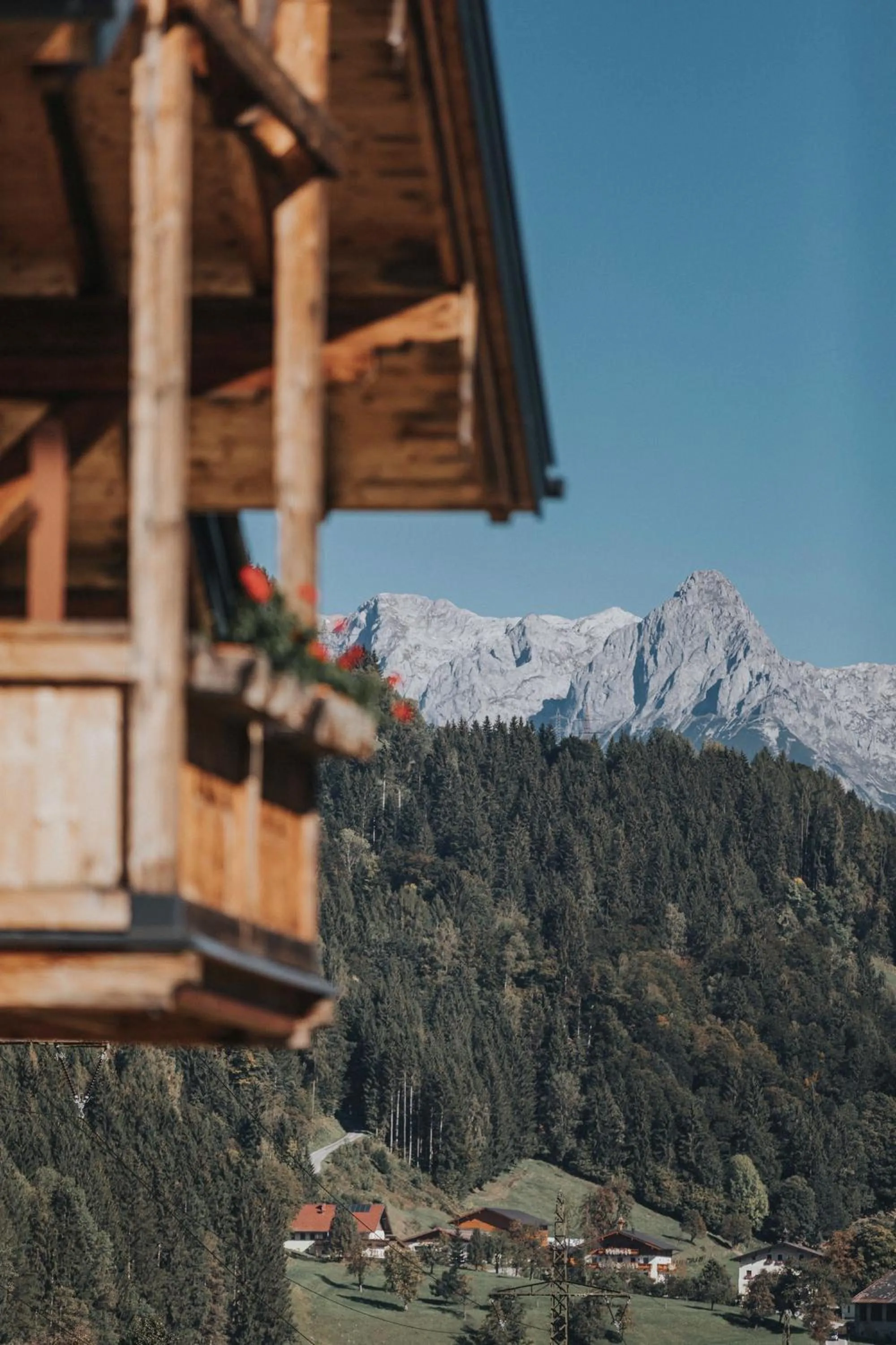 Property building in Appartements Wieshof