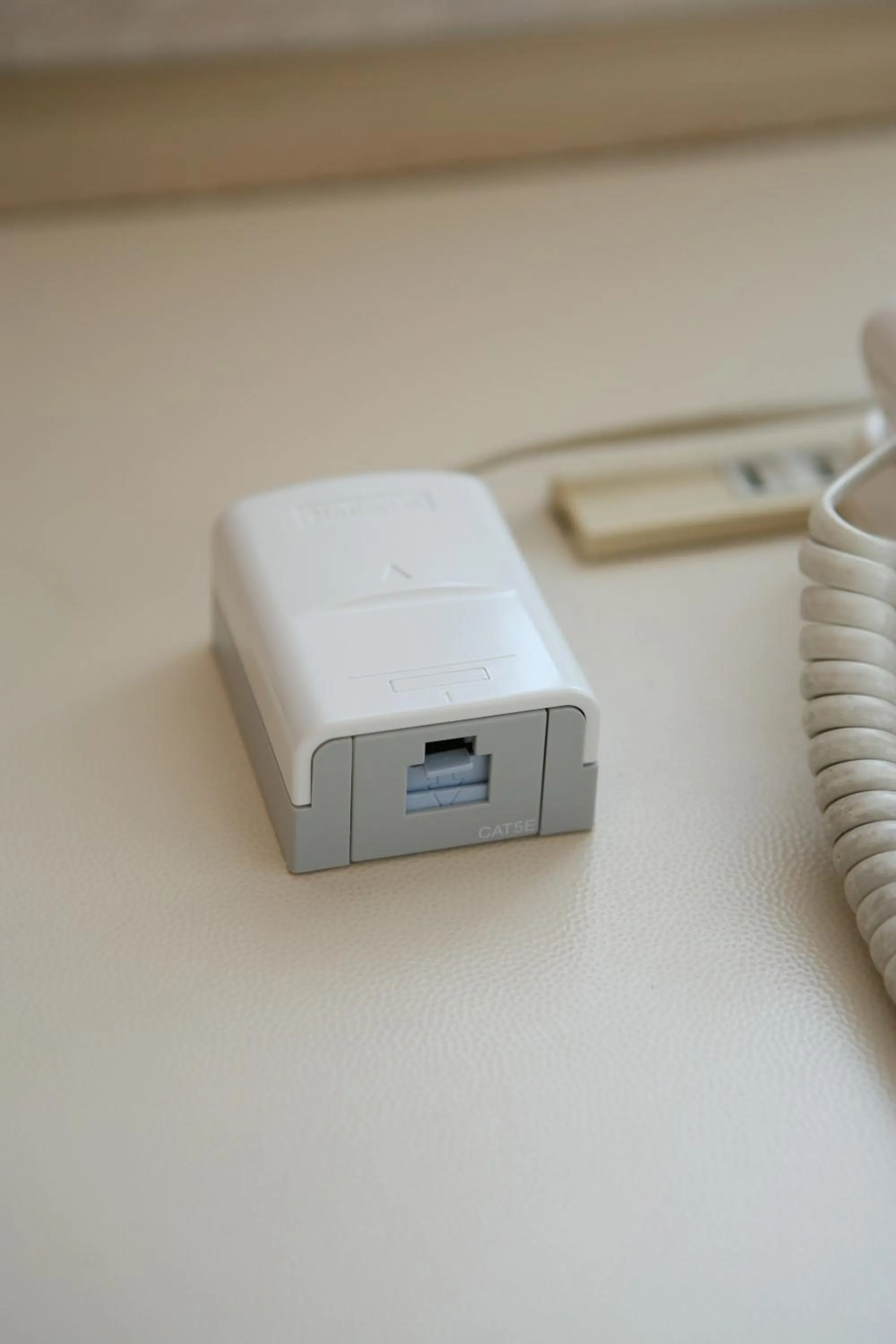 Other in Ginza Capital Hotel Akane