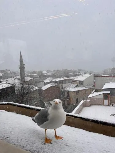 Emine Sultan Hotel