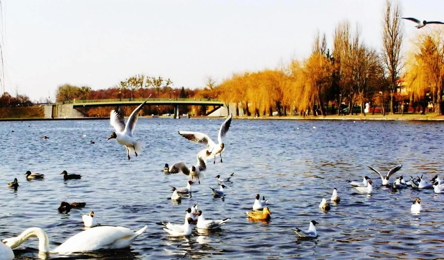 Neighbourhood in Kompleks Hotelowy Logos