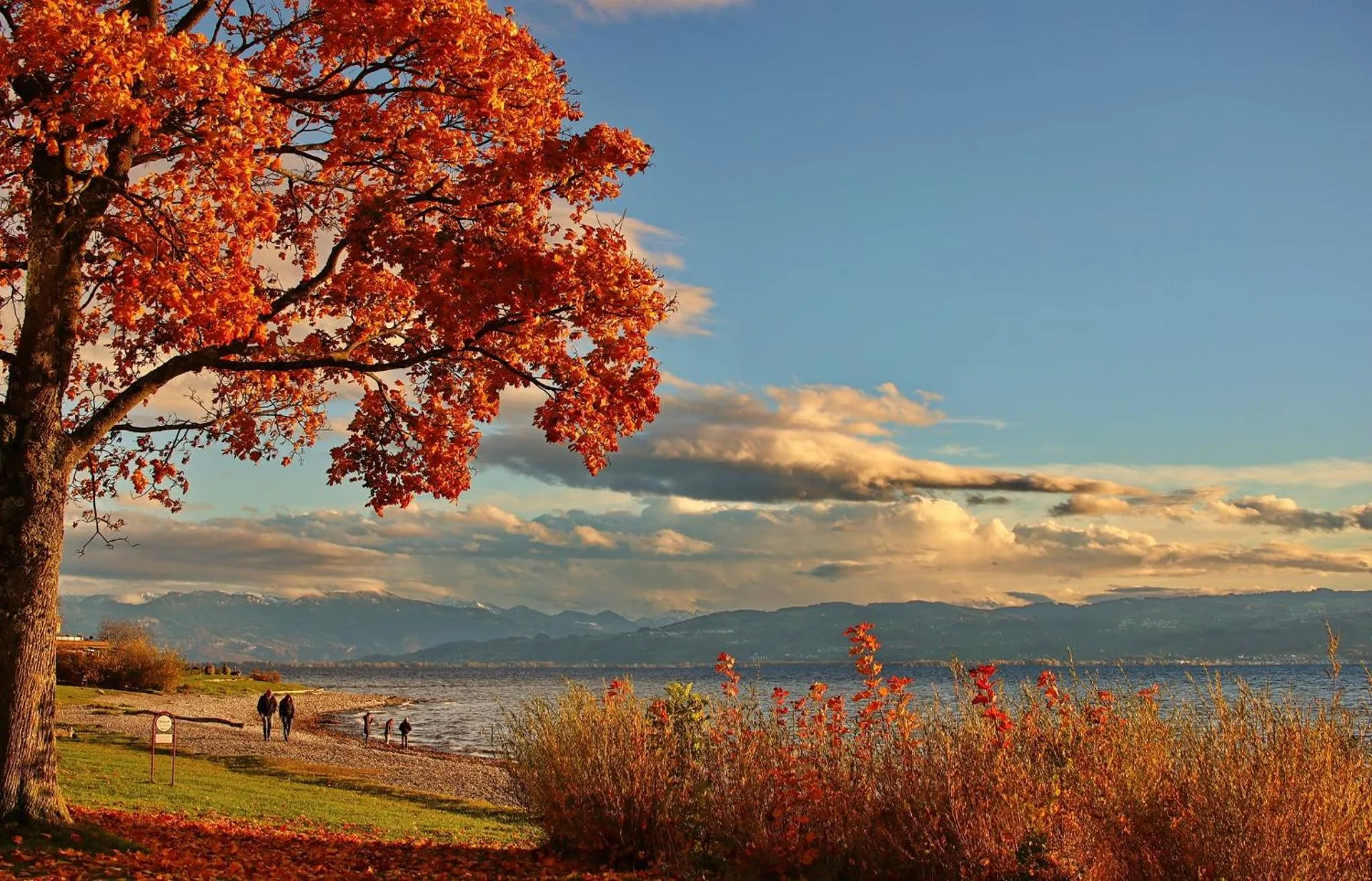 Autumn in Teddybärenhotel