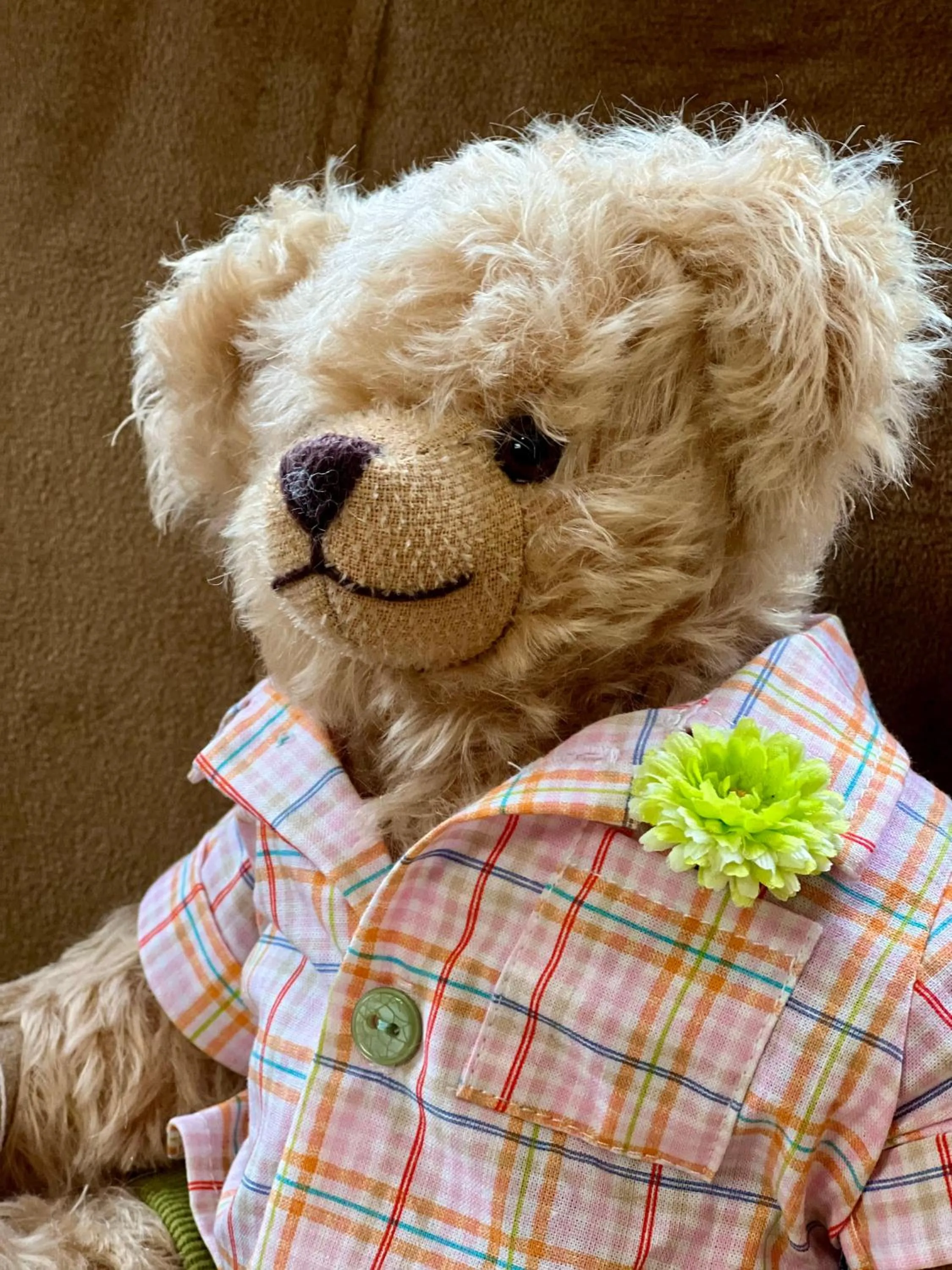 Landmark view in Teddybärenhotel