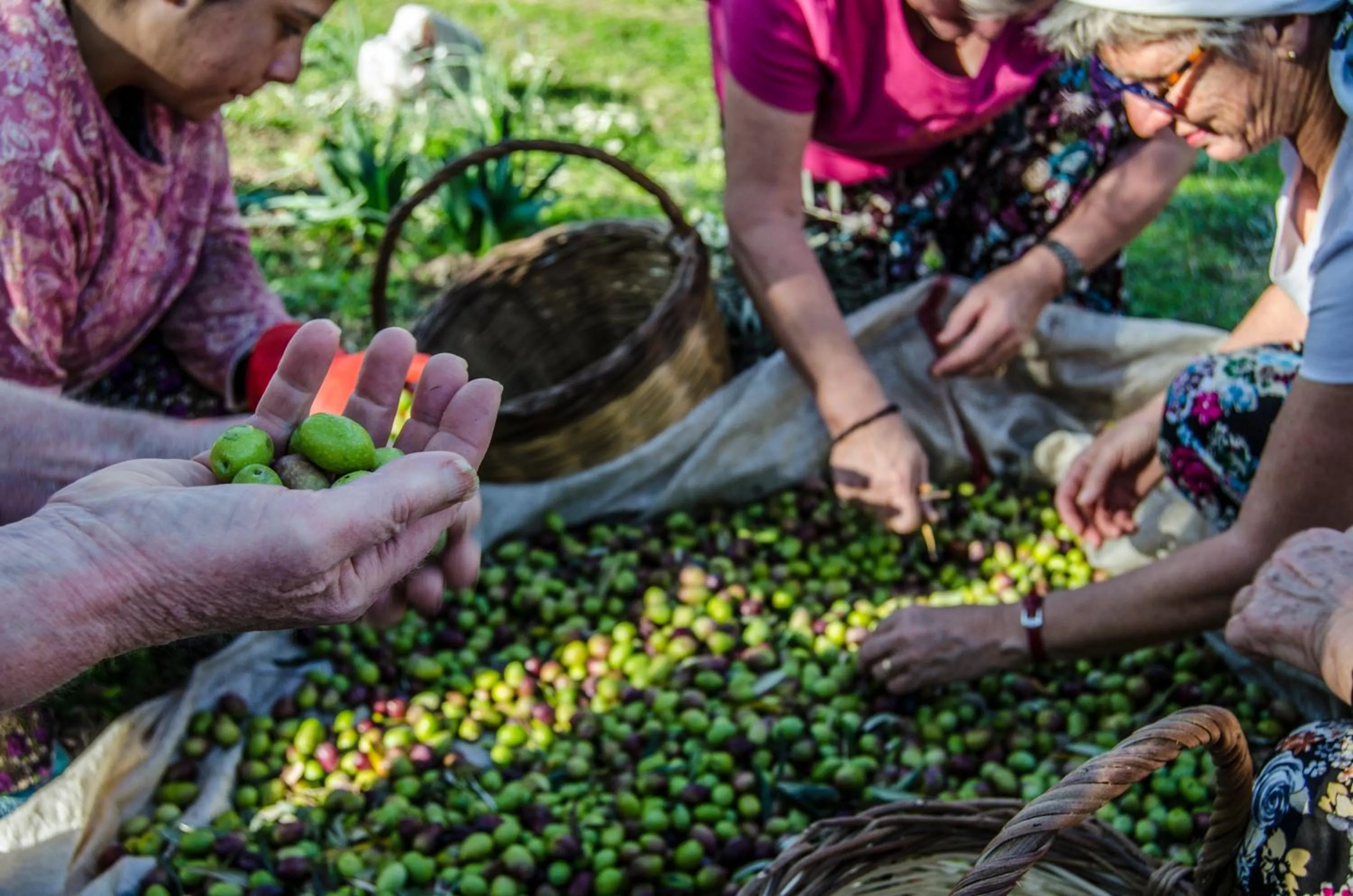 Natural landscape in Agora Pansiyon