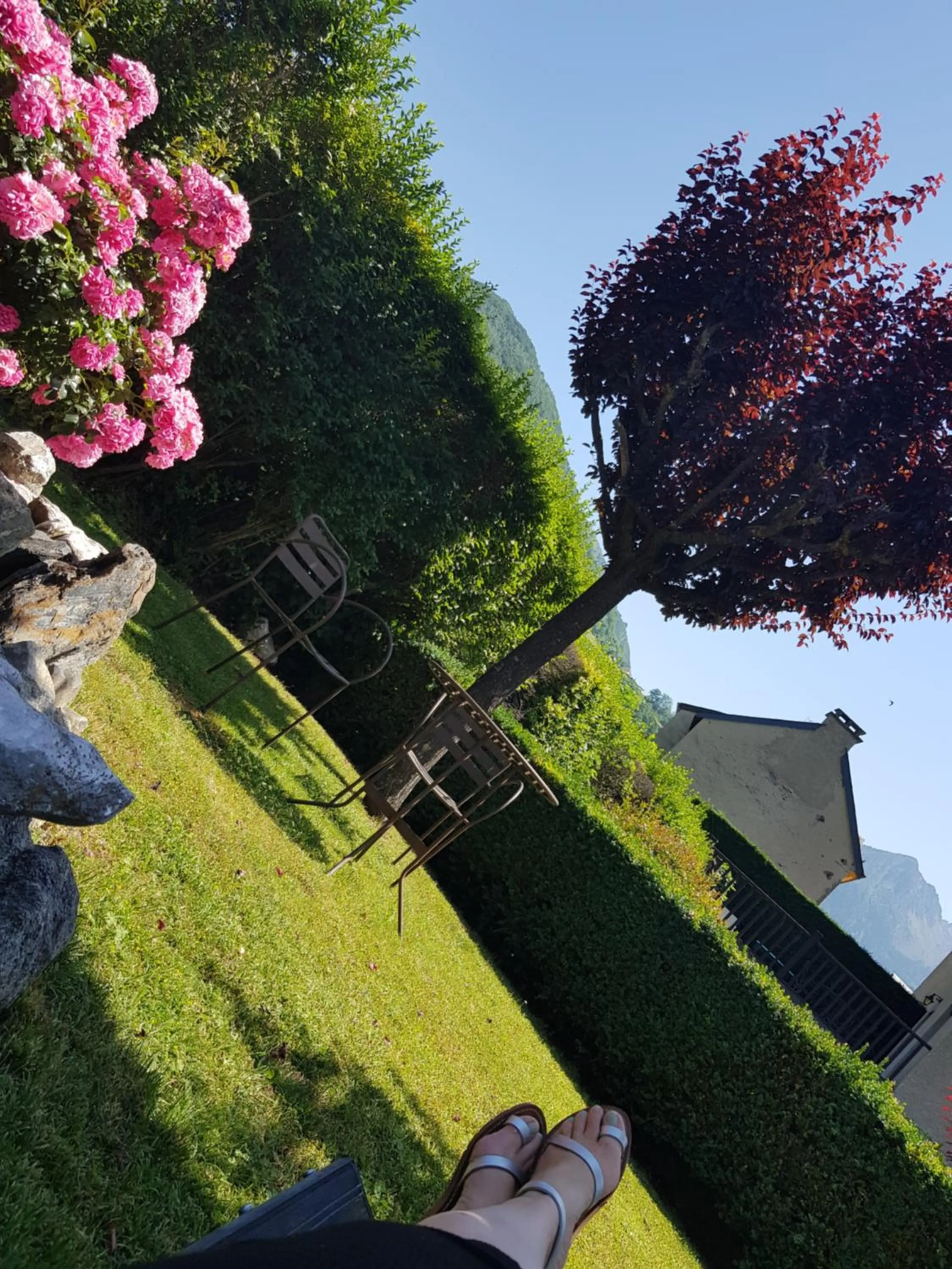 Garden in Hôtel Terminus