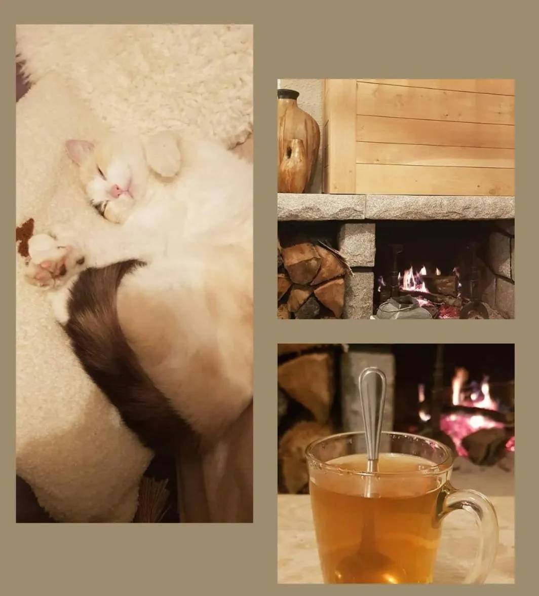 Lounge or bar in Hôtel Terminus