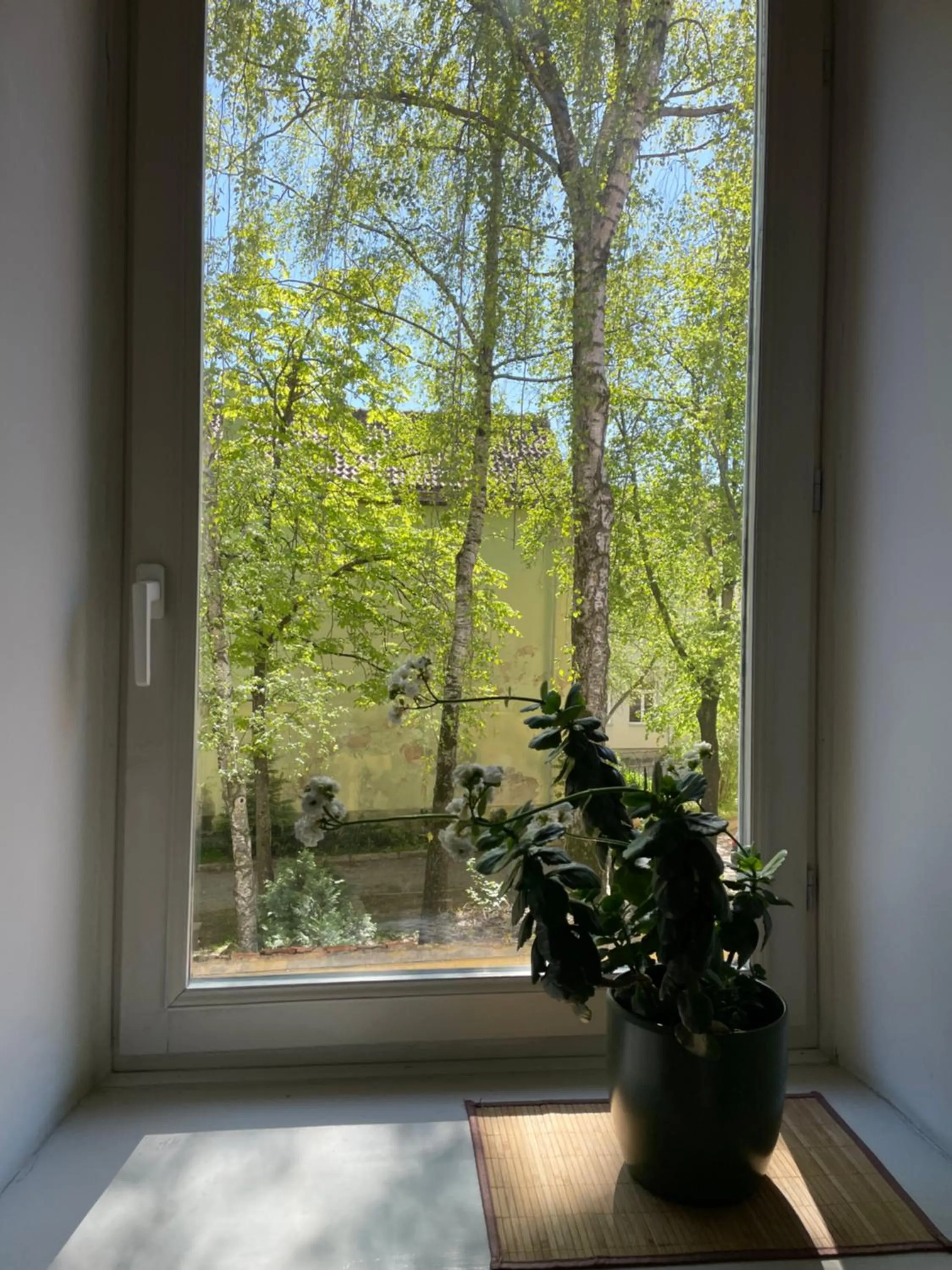 Bedroom in Mikalo House