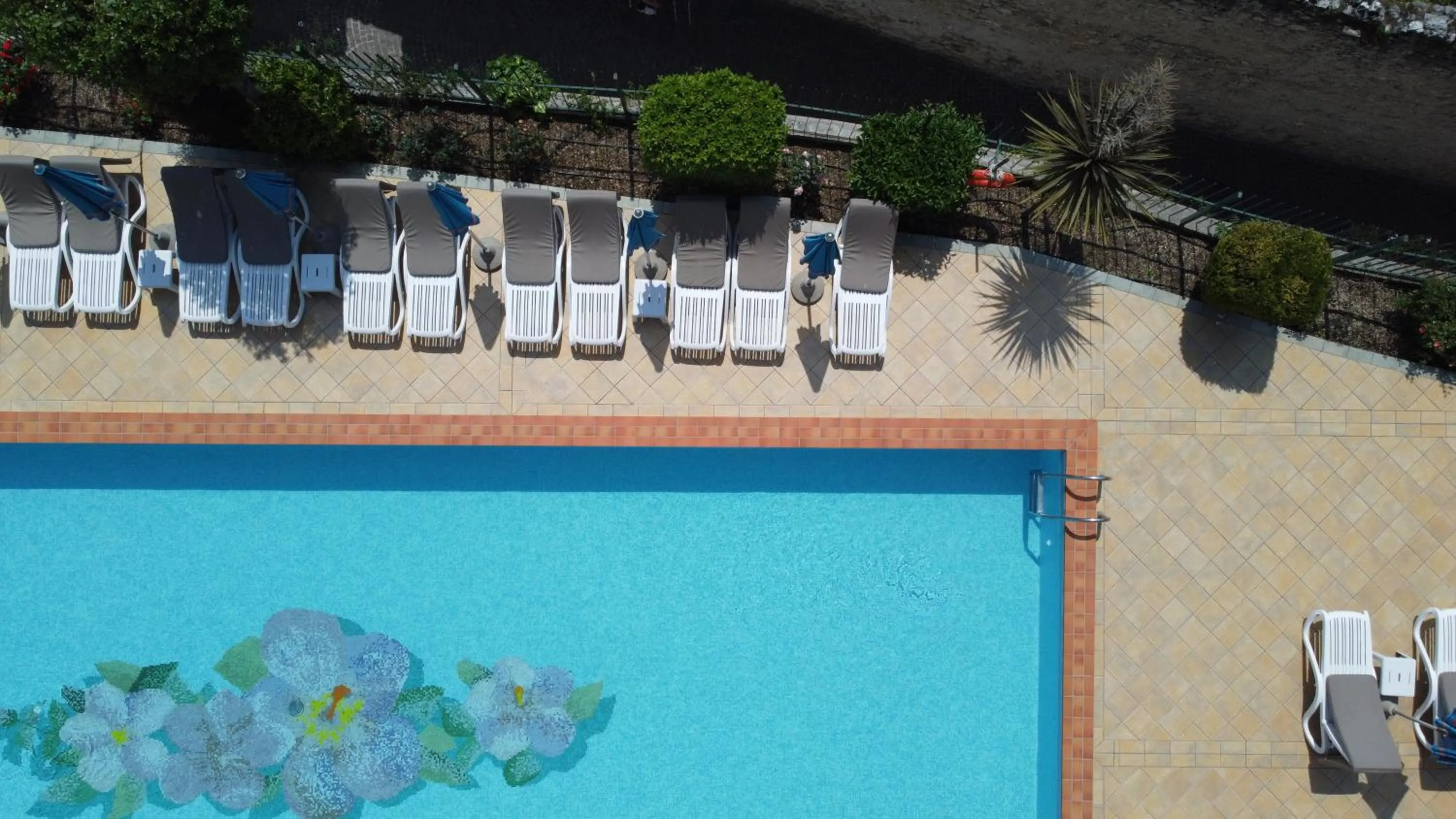 Swimming pool in Hotel Splendid Palace