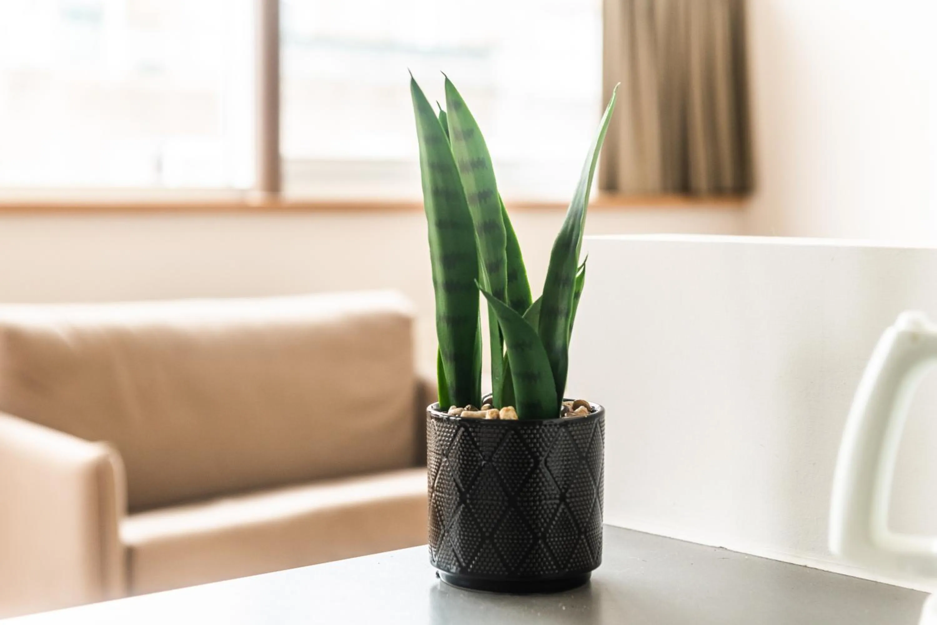 Decorative detail in Belcasa Suitehotel