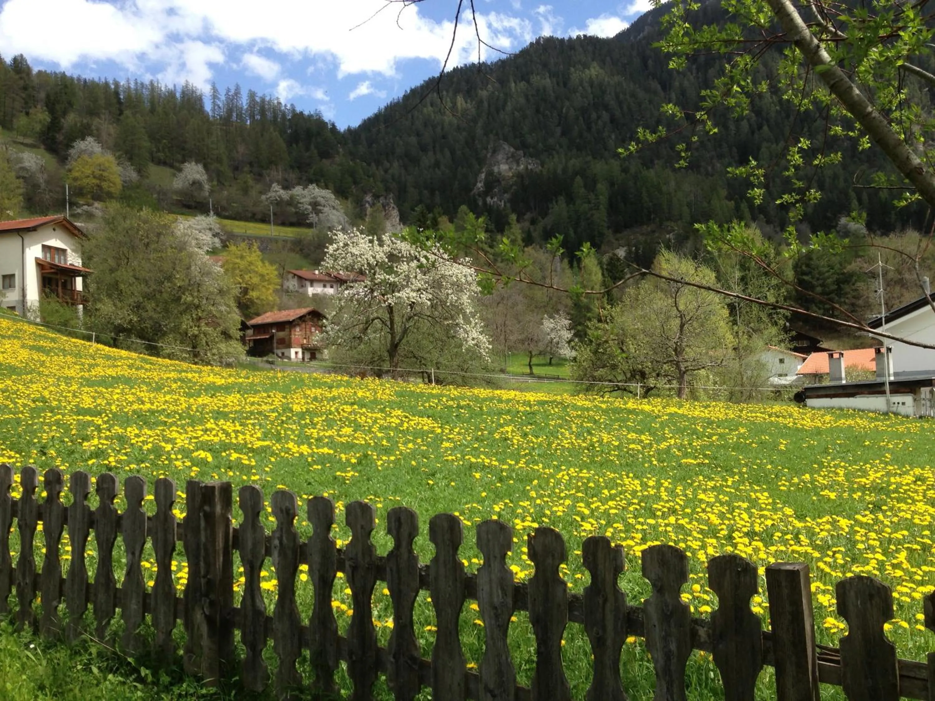 On site in Hotel Restaurant Rätia