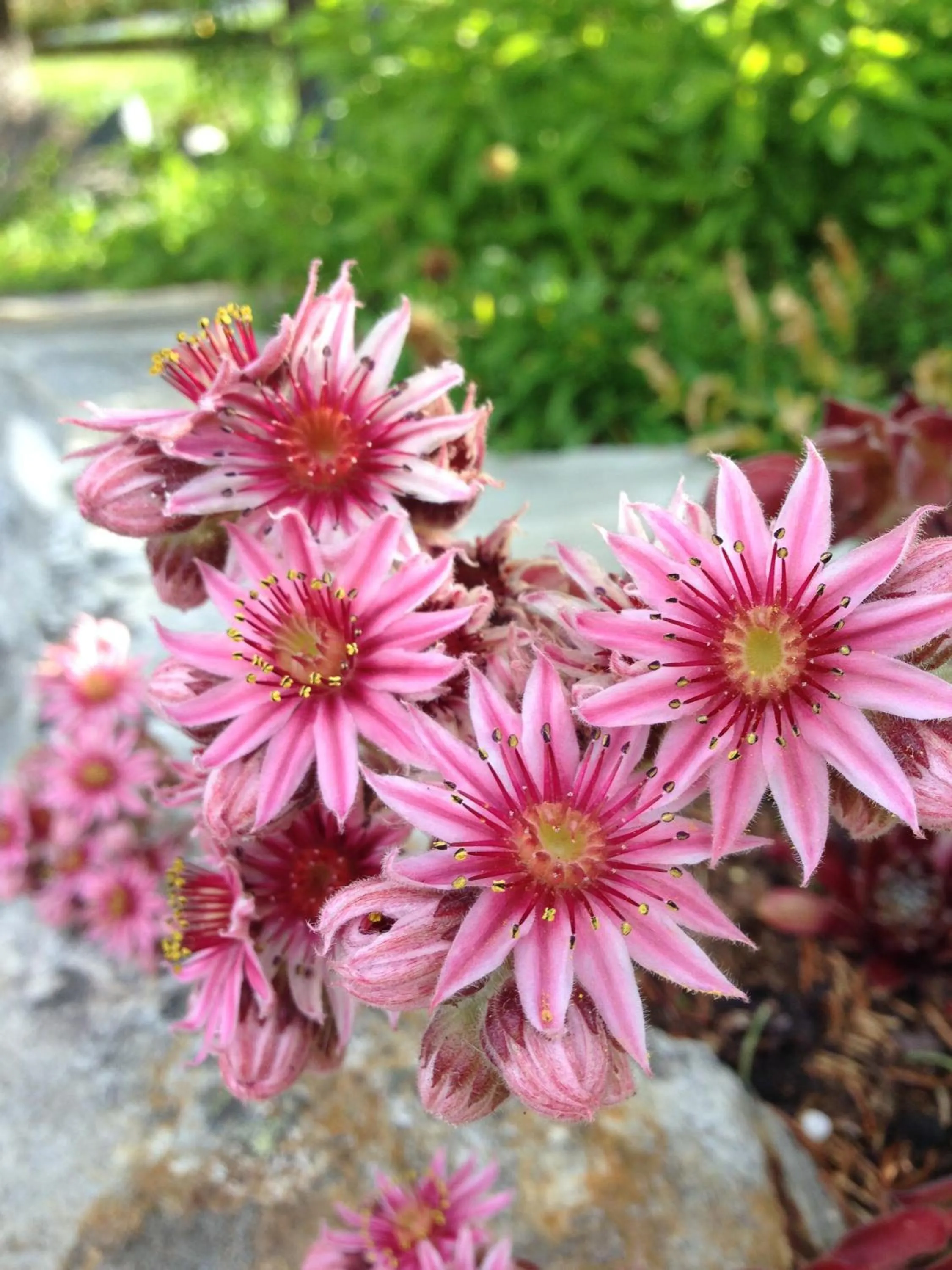 Other in Hotel Restaurant Rätia