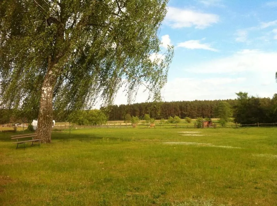 Day in Landhotel Am Peetscher See