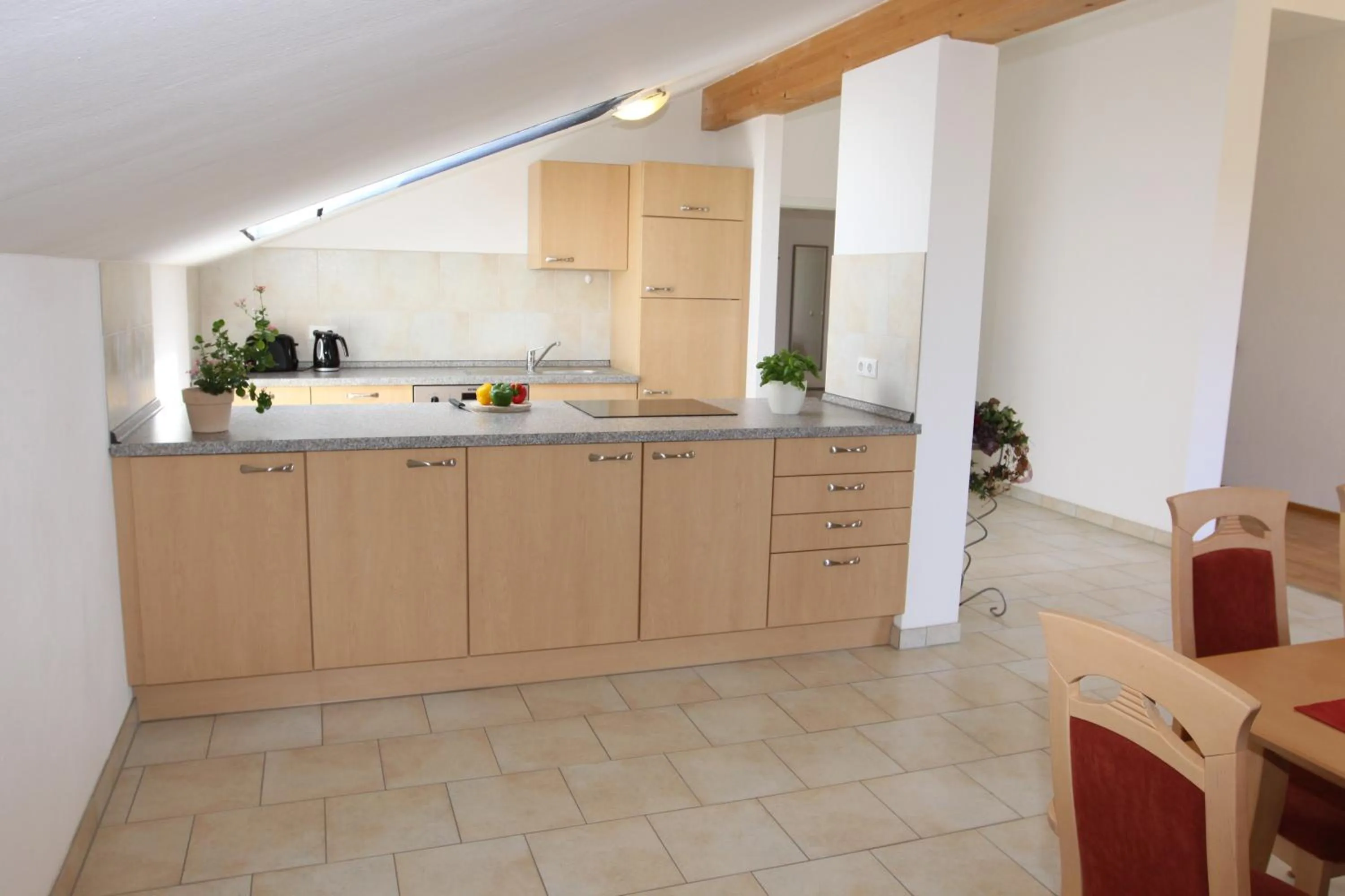 Kitchen or kitchenette in Hotel Inspiration Garni