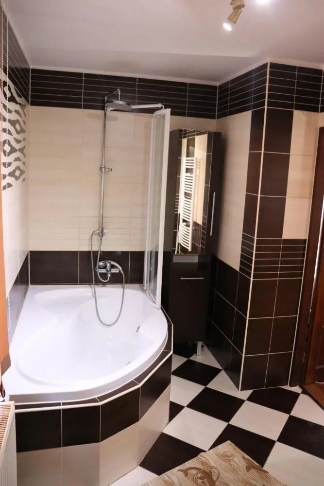 Shower in U Betty - Ostrava Centrum